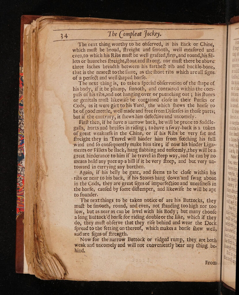 The next thing worthy to be obferved, is his Back or Chine, which muft be broad, ftreight and fmooth, well meafured and even,to which his Ribs muft be well grafted, firm, and round,his fl- lets or haunches ftreight,{tout and itrong, nor muft there be above three Inches breadth between his fartheft rib and buckle-bone, that is the neareft tothe fame, as the fhort ribs which areall figns: of a perfect and weil thaped horfe. The next thing is, to takea {pecial obfervation of the fhape of his body, if itbe plump, fmooth, and contained within the com- pafs of his ribs,and not hanging over or paunching out ; his {tones or genitals muft likewife be contained clofein their Purfes or Cods, as it were girt tohis Yard, the which fhews the horfe to be of good mettle, well made and free from Difeafes in thofe parts; but it the contrary, it fhews.him defective and uncomely. Firft then, if he have a arrow back, he will be prone to Saddle- galls, hurts and bruifes in riding 5 tohave afway-back isa token of great weaknefs in the Chine, or if his Ribs’be very fat and ftreight they in Travel will hinder him from fetching his full means hold any paceup a hill ifit be very fteep, and but very un- toward in carrying any burthen. Again, if his belly be gant, and feems to be clofe within his in the Cods, they are great figns of imperfection and uneafinefs in the horfe, caufed by fome diftemper, and likewife he will be apt to founder. The next things to be taken notice of are his Buttocks, they muft be fmooth, round, andeven, not ftanding toohigh nor too a long Buttock’d horfe for riding doubleor the like, which if they do, they muft obferve that they rife behind and wear the Dock {pread to the fetting onthereof, which makesa horfe thew well and are figns of {trength. Now for the narrow Buttock or ridged rump, they. are both ing and uncomely and will not conveniently bear any thing be. hind, ?