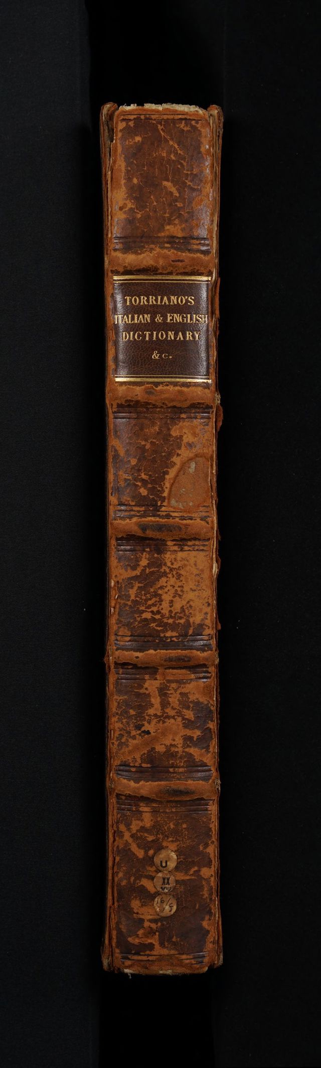 digitised image 2