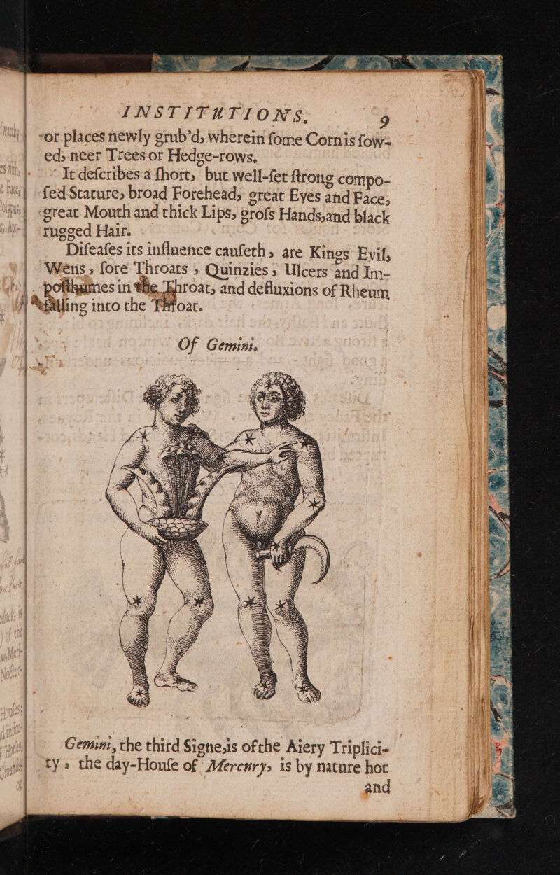 ] } | a) ¥ | | | | INSTIFUTIONS. 9 eds. neer Trees or Hedge-rows, “It defcribesa fhort, but well-fer ftrong compo- fed Stature, broad Forehead, ereat Eyes and Face, rugged Hair. Difeafes its influence caufeths are Kings Evil, Wens, fore Throats > Quinzies » Ulcers and Im- potthymes in tig Bhroac, and defluxions of Rheum Gemunt, the third Signe,is ofche Aiery Triplici- ty» the day-Houfe of Mercury, is by nature hot and