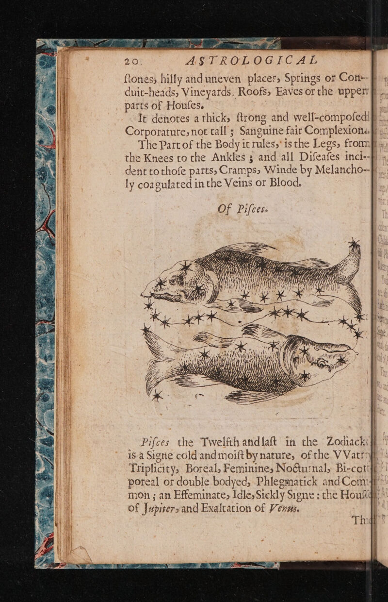 ftones; hilly and uneven places, Springs or Con--f duit-heads, Vineyards, Roofs, Eaves or the upper ff. parts of Houfes. It denotes athick, ftrong and well-compofedif} Corporature, not tall Sanieuine fair Complexione fi y, The Part of the Body i itrules,' isthe Legs, fromm... the Knees ro the Ankles 3 and all Difeafes inci--f - dent tothofe parts Cramps, Winde by Melancho-- ly coa gulated i inthe Veins or Blood, Of Pifces. Otc \ Xt \ i ‘YY ‘ay bile RN \ Ay ‘I HLA) ' 4 x, ; \ Al NEW ie =p ne YA i row Pifces the Twelfthandlaft in the Zodiack# * is a Signe cold and moift by nature, of the VVatrryi é Triplicicy, Boreal, Feminine, No&urnal, Bi-cortt | poreal or double bodyed, Phlegmatick andComyf: mon ; an Effeminate; Idle, Sickly Signe : che Houfigy, of Jupiersand Exaltation of Virm,.