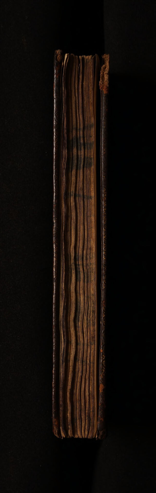 No text description is available for this image