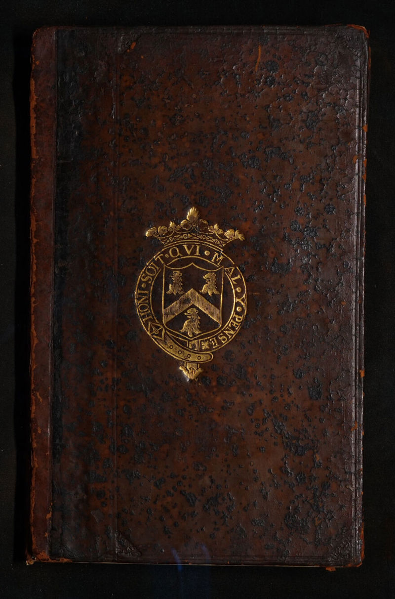 No text description is available for this image