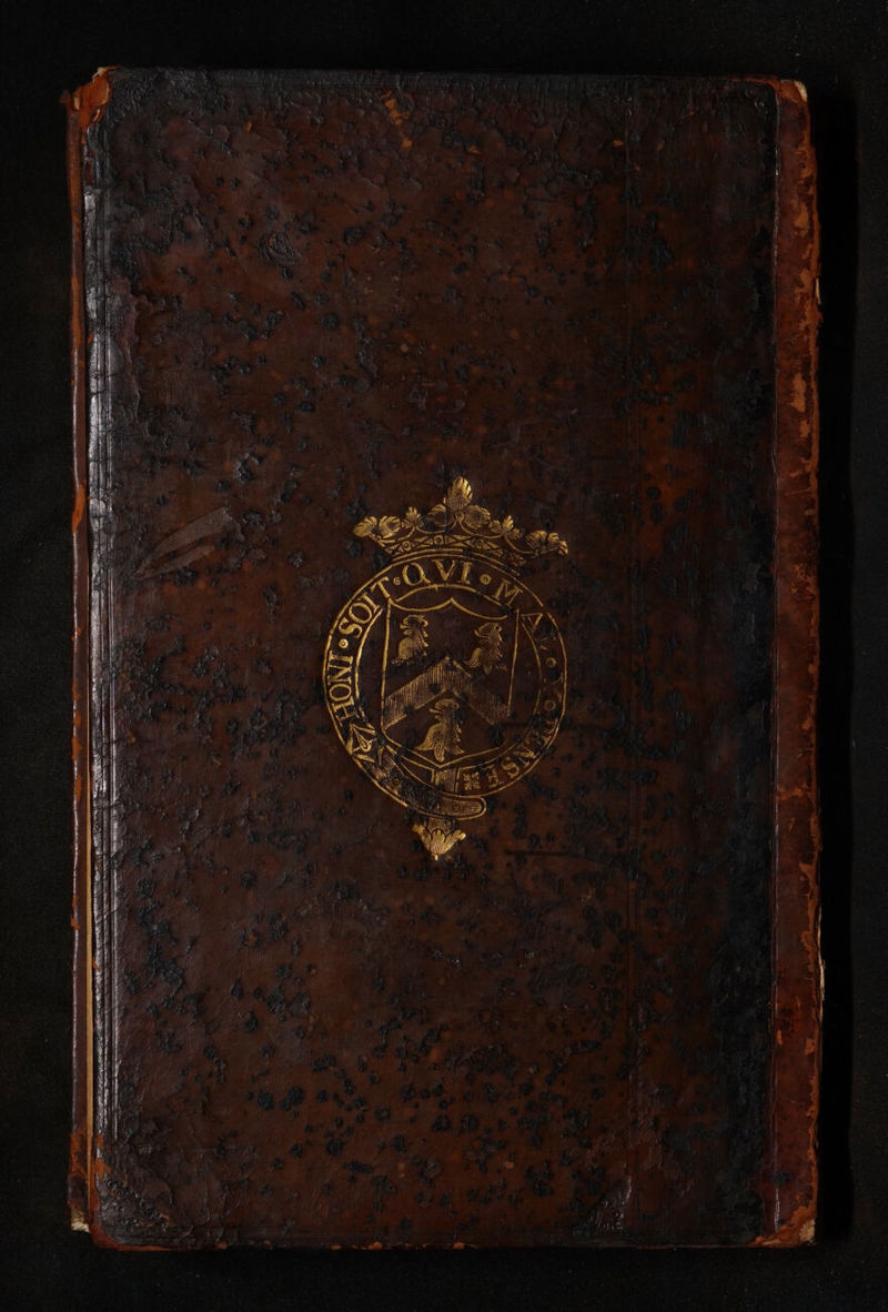 No text description is available for this image