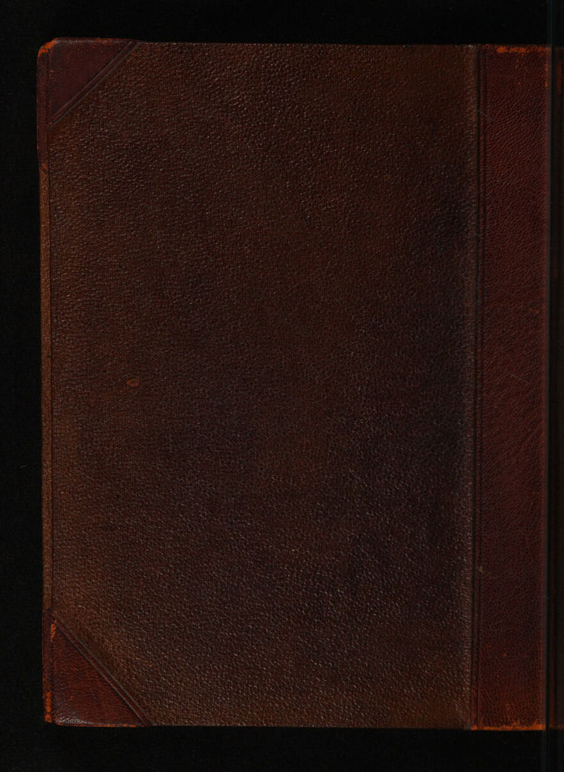 eat a Za nee oy i Me oy WRAND ry zs 42 so