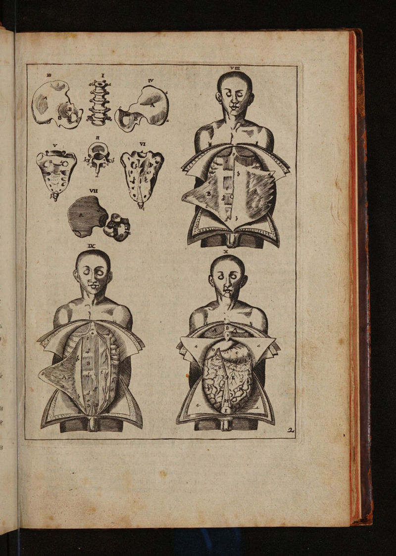 No text description is available for this image