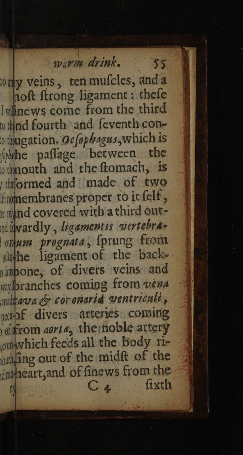 y veins, tenmufcles, anda hoft ftrong ligament : thefe [viinews come from the third th 0 thugation, Oc fophagus,which is § (yihe paflage. between she & vtmouth and the ftomach, is J thiformed and’ made of two § hoomemabranes proper toicfelf, | y mynd covered with a third out- wardly , ligamentis vertebrae | ‘oiltum prognata, {prung from iithhe ligamentiof the back- | bone, of divers veins and 4 ranches coming from vena 4 tava cy coronarid ventricul, & yapf divers arteries: coming ; .f4rom aorta, the:noble artery compvhich feeds all the body rir outing out of the mid of the heart,and of finews from the C 4 fixth _———° oor =— F ae =