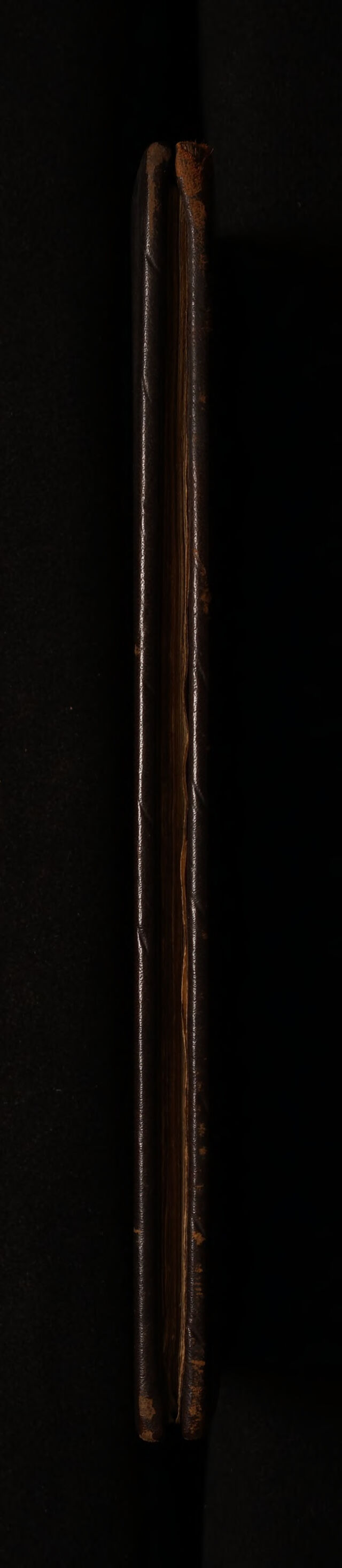 digitised image 3