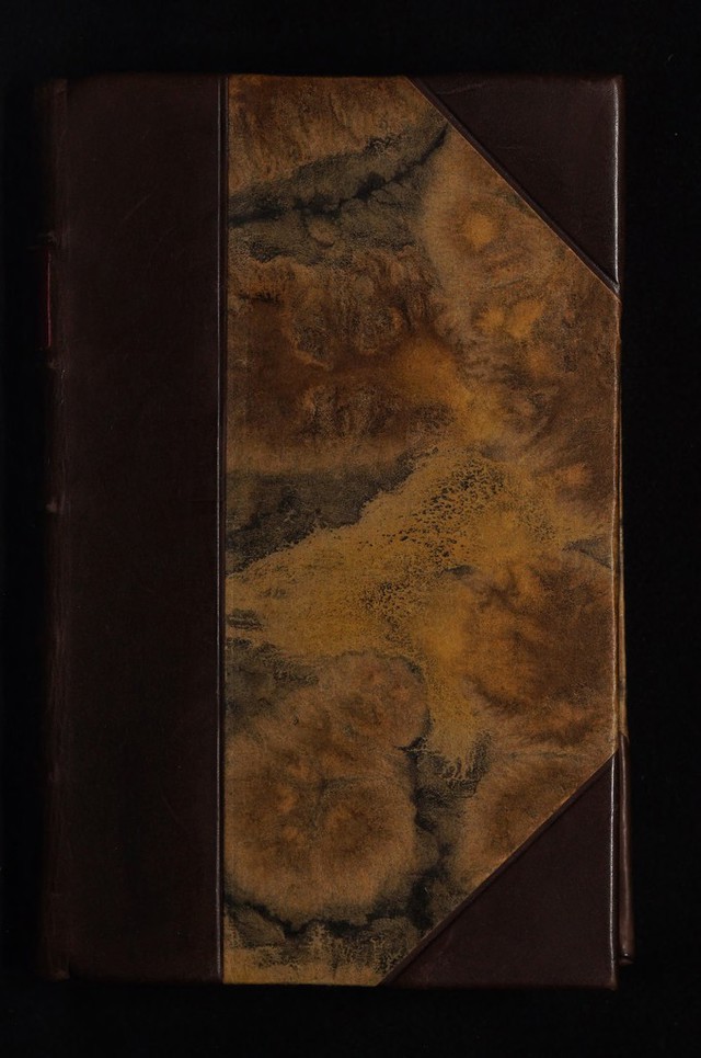 No text description is available for this image