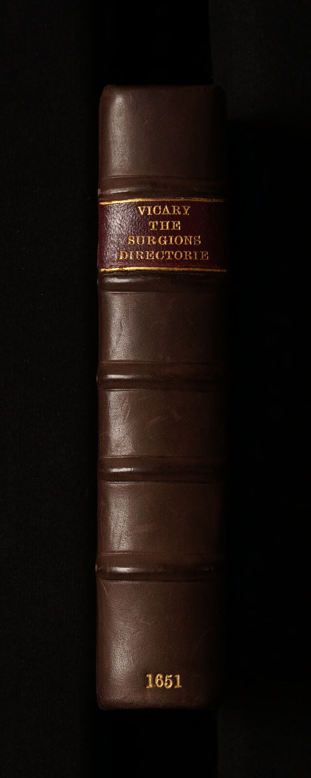 No text description is available for this image