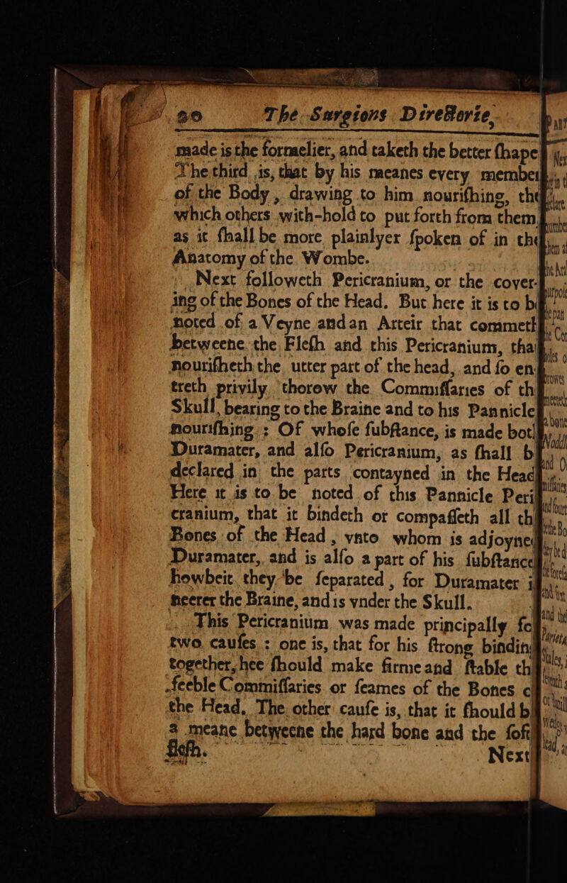 ye hehe! gael Se8 S36 ore SENS Pas ~+ — ate eevee mee ery ae a SC made is the formelier, and taketh the better fhape The thitd. is, that by his nacanes every membeip, of the Body , drawing to him nourifhine, thd which others .with-hold to put forth from them, as it {hall be more plainlyer fpoken of in che Anatomy of the Wombe. : Next followeth Pericranium, or the covyer-| ing of the Bones of the Head. But here it is to bil. noted of a Veyne andan Arteir that commethf betweene the Fiefh and this Pericranium, tha ourifhech the, utter part of the head, and fo eng treth privily ‘thorew the Commuffaries of th Skull) bearing to the Braine and to his Pannicle mourifhing ; Of whofe fubftance, is made botlf, Duramater, and alfo Pericranium, as fhall bi declared in the parts ‘contayned in the Headf». Here it is to be noted of this Pannicle Perif.), cranium, that it bindech or compaffeth all chi, Bones. of the Head, yato whom is adjoyned, MA Duramater, and is alfo a part of his fubftance ri howbeit. they be feparated , for Duramater ji re heerer the Braine, and is ynder the Skull. | P . This Peticranium was made principally foll, two. caufes : one is, that for his ftrone binding Ne together, hee fhould make firmeand ftable thy,” feeble Commiffaries. or feames of the Bones c i the Head, The. other caufe is, that it fhouldb P ul 2 meane betweene the hard bone and the fof. fgh. Next mi Sant ate eae oneal aes tl ; . teat Z