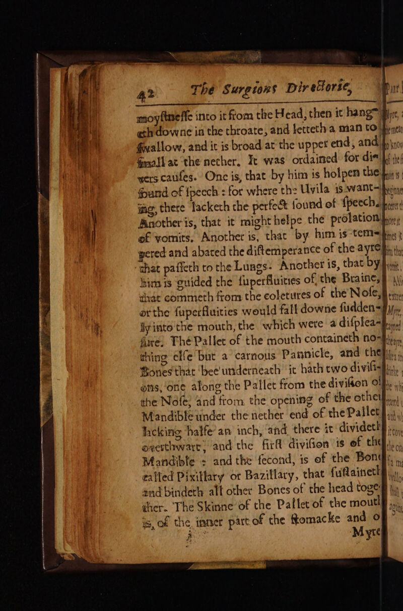 er =i en) eee nn ee RECON Sa. moyineffe into it fiom the Head, then it hang hi, chdowne in the throate, and fetteth a man CO spe fallow, and it is broad. at the uppet end, andi, Gmallat ‘the nether, It was ordained for die wers cauifes. Onc is, that by him is holpen the Sound of {peech : for where the Uvila 1s want—ibrsinne ig, there lackech the perfect found of fpeechs bir Another is, that it might helpe the prokation pire, of vomits, Another is, thac by him is-tem= pia: pered and abated the diftemperance of the aytep. i, ‘that paffeth to the Lungs. Another is, that by piu. him is ‘guided the fuperfluities of the Braine, |, dat commeth from the coletures of the Nofe, a arthe fuperfluities would fall downe fudden=, Mi fyinto'the mouth, the which wete @ difpkeaBinu fire. Thé Pallet of the mouth containeth no- “a thing elfe but a carnous Pannicte, and thelly,. . Ronesthat ‘bee underneath it hath ewo divilisfi., ons, ‘one along the Pallet from the divifion olf, , the Nofe; and from the opening of the othe, Mandibleunder the nether end of the Pallet, : 7 lhcking hatfe an inch, and there it dividetl},.. overthwart, andthe fitft divifion ‘1s of the), Mandible = and the fecond, is of the Bont bi galled Pixitlary or Bazillary, that fuflaineth§ and bindeth alt other Bones of the head toge th, wher. The Skinne’of che Pallet of the moutl i is, of the inner part of the ftomacke and of” j ‘Myre