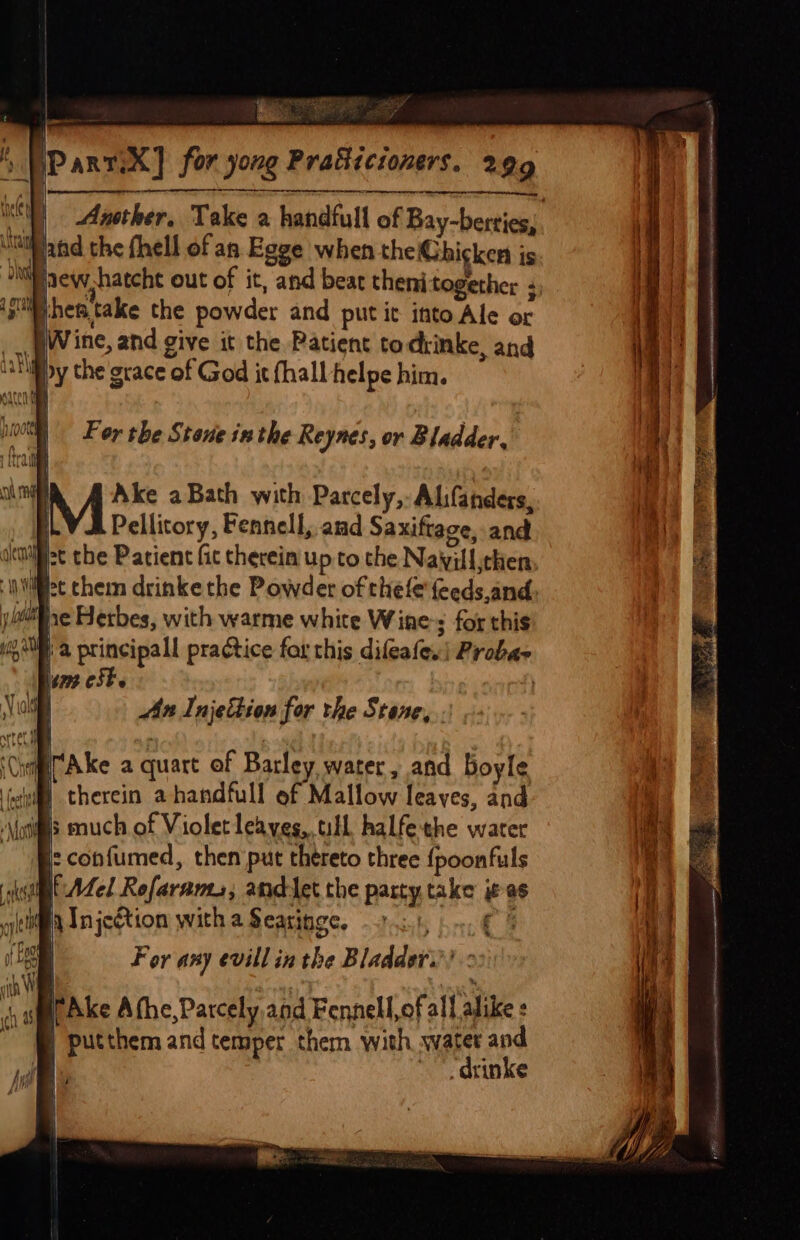 steed lentmeeadiententestietecem = anemeadeaeeneeeae Another. Take a handfull of Bay-berties, ‘afd the fhell of an Egge when the@hicken is pew hatche out of it, and bear thenj together : shes. take the powder and put it into Ale or _ gine, and give it the Patient todiinke, and dak by the grace of God it (hall helpe him. For the Stone inthe Reynes, or Bladder, i? oa M Ake aBath with Parcely, Alifanders, i Pellitory, Fennell, amd Saxiftage, and dace the Patient fit therein up to the Nawill,then ‘iit chem drinke the Powder of thefe {eeds,and: Al he Herbes, with warme white Wine ; for this ie ME @ principall practice far this difeafex! Probar An Injettion for the Stone, Ne IrAke a quart of Barley water, and boyle me \ therein a handfull ef Mallow leaves, and ; much of Violet leaves, till halfethe water :confumed, then put thereto three {poonfuls sil Afel Rofarams, andlet the party take if as ia Injection with a Searinge. | eG For any evill in the Bladder.’ - &gt; iPAke Athe,Parcely,and Fennell,of all alike : | putthem and temper them with water and F , drinke