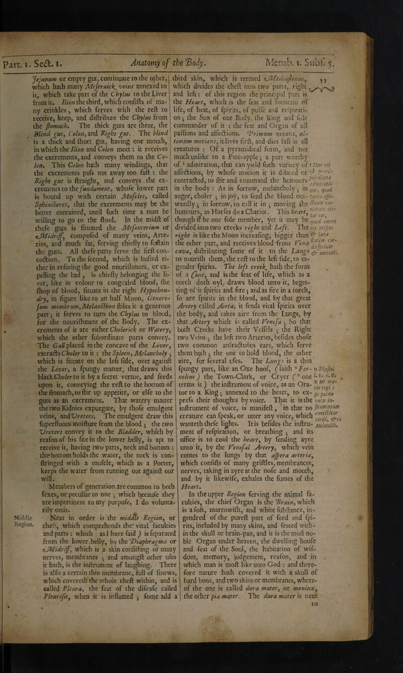 part. i. Se£l. i. Anatomy of the ^ody. Me mb. i. Subi; jejunum or empty gut, coniinuate to the other, which hath maily Mejeraick^ veins annexed to it, which take part of the Chylus to the Liver from it. llion the third, which confifts of ma¬ ny crinkles, which ferves with the reft to receive, keep, and diftribute the Chylm from the ftomach. The thick guts are three, the Blind gut. Colon, and Bight gut. The blind is a thick and fhort gut, having one mouth, in which the///(?« and meet: it receives the excrements, and conveys them to the Co¬ lon, This Colon hath many windings, that the excrements pafs not away too faft : the Right gut is ftraight, and conveys the ex¬ crements to the fundament, whofe lower part is bound up with certain Mufcles, called Sphincieres, that the excrements may be the better contained, until fuch time a man be willing to go to the ftool. In the mid ft of thefe guts is fituated the Mefenterium or fJMidnjf^ compofed of many veins. Arte¬ ries, and much fat, ferving chiefly to fuftain the guts. All thefe parts ferve the firft con- codion. To the fecond, w'hich is bufied ei¬ ther in refining the good nourifliment, or ex¬ pelling the bad , is chiefly belonging the li¬ ver, like in colour to congealed blood, the (hop of blood, fituate in the right Hypochon- dry, in figure like to an half Moon, Genero^ fum memhrum,Melan^hon Riles k a generous third skin, which is termed Cyhfediajvhiks, which divides the cheft into two parts, right and left: of this region the principal part is the Heart, which is the feat and fountain of life, of heat, of fpirits, of pulfe and refpirati- on 5 the Sun of our Body, the King and foie commander of it ; the feat and Organ of ail paflions and affedions. ‘Rrimnm vtvens, nl- timum moriens, it lives firft, and dies laft in all creatures : Of a pyramidical form, and not much unlike to a Pine-apple; a part worthy of ^ admiration, that can yield fuch variety of affedions, by whofe motion it is dilated or contraded, to ftir and command the humours in the body ; As in forrow, melancholy; in qn„^ anger, choler ; in joy, to fend the blood out- tanta affc- wardly ; in forrow, to call it in ; moving the C.mmva- humours, as Horfes do a Chariot. This heart, though it be one foie member, yet it may be divided into two creeks right and Left, The rn tripes right is like the Moon increafing^ higg^J^ than ^ the other part, and receives blood from f'ena cor- riant, cava,. diftributing fome of it to the Lungs to nourifh them, the reft to the left fide, to in¬ gender fpirits. The left creeks hath the form of a fone, and is the feat of life, which as a torch doth oyl, draws blood unto it, beget¬ ting of it fpirits and fire; and as fire in a torch, fo arc fpirits in the blood, and by that great j4rtery czWed .Aorta, it fends vital fpirits over part; it ferves to turn the Chylus to blood, 1 the body, and^akes aire from the Lungs, by for the nourifliment of the Body, The ex- that Artery which is called Venofa • So that crements of it are cither Cholerick or Watery, both Creeks have their Veflels ; tnc Right Region. which the other fubordinate parts convey. The Gall placed in the concave of the Liver, extradfs Choler to it ; the Spleen, Melancholy • which is fituate on the left fide, over againft the Liver, a fpungy matter, that draws this blackCWerto it byafecret venue, and feeds upon it, conveying the reft to the bottom of theftomach,to ftir up appetite, or elfe to the guts as in excrement. That watery matter the two Kidnies expurgate, by thofe eraulgent veins, ^ndVreters, The emulgent draw this fuperfluous moifture from the blood ; the two Vreters convey it to the Bladder, which by reafon of his fite in the lower -belly, is apt to receive it, having two parts, neck and bottom : thebpttom holds the water, the neck is con- ftringed with a mufcle, which as a Porter, keeps the water from running out againft our will. Members of generation are common to both fexes, or peculiar to one ; which becaufe they are impertinent to my purpofe, I do volunta¬ rily omit. cheli, which comprehends the* vital faculties and parts: which ■ as I have faid ) is feparated from the lower.belly, by the Diaphragma or ^JTfidrijf, which is a skin confiding of many nerves, membranes • and amongft other ufes it hath, is the inftrument of laughing. There is alfo a certain thin membrane,, full of finews, which covereth the whole cheft within, and is called Pleura, the feat of the dlfeafe called Pleuripe, when it is inflamed ; fome add a two Veins , the left two Arteries, befides thofe two common anfraftuous ears, which ferve them both; the one to hold blood, the other aire, for feveral ufes. The Lungs is a thin fpungy part, like an Oxe hoof, ( faith Per- u vhyfioi nelius) the Town-Clark, or Cryer (^^one^*^* terms it) the inftrument of voice, as an Ora- / tor to a King annexed to the heart, to ex- prefs their thoughts by voice. That it is the vocis in- inftrument of Voice, is manifeft, in that no finmemm creature can fpeak, or utter any voice, which wanteth thefe lights. It is befides the inftru- Melandb, ment of refpiration, or breathing *, and its office is to cool the heart, by fending ayre unto it, by the Venofal Artery, which vein comes to the lungs by that apera arteria, which confifts of many griftles,merabrances, nerves, taking in ayre at the nofe and mouth, and by it like wife, exhales the fumes of the Heart, In the upper Region ferving the animal fa¬ culties, the chief Organ is the Brain, which is a fofc, marrowifli, and white fubflance, in- rits, included by many skins, and feated with¬ in the skull or brain-pan, and it is the moft no¬ ble Organ under heaven, the dwelling houfe and feat of the Soul, the habitation of wif- dom, memory, judgement, reafon, and in , which man is moft like unto God : and there¬ fore nature hath covered it with a skull of hard bone, and two skins or membranes, where¬ of the one is called dura mater, or meninx, the other pia mater. The dura mater is next