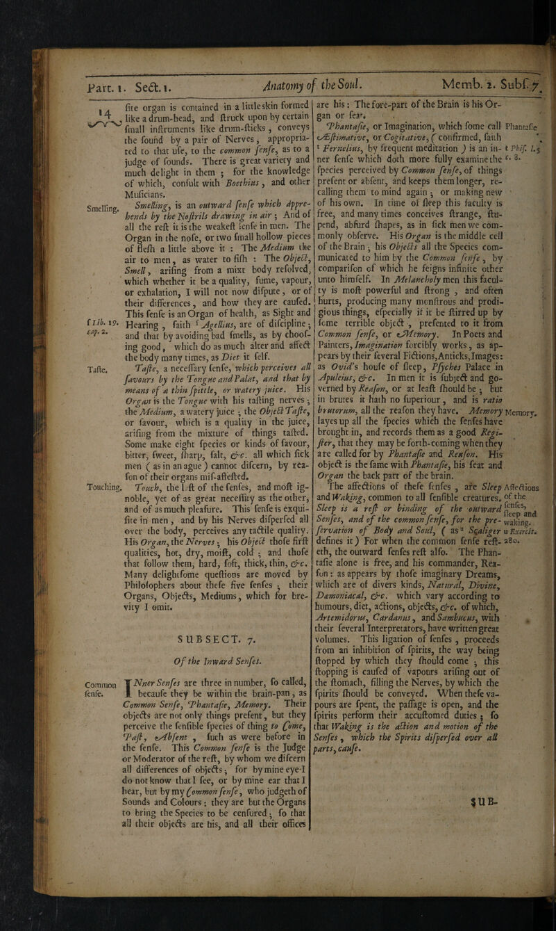 - Fart. I. Se(5t. 1. Anatomy of theSouL Memb/i. Subl. 7 ' * >4 Smelling. fire organ is contained in a little skin formed like a drum-head, and ftrutk upon by certain final 1 inftruments like drum-fticks, conveys the found by a pair of Nerves, appropria¬ ted to that ufe, to the common [enfe^ as to a judge of founds. There is great variety and much delight in them ; for the knowledge of which, confult with Boethiits, and other Muficians. Smeltings is an outward fenfe which appre¬ hends by theNojirils drawing in air 5 And of all the reft it is the weakeft knfe in men. The Organ in the nofe, or two fmall hollow pieces of flefh a little above it : The Medium the air to men, as water to fifti : The ^ Smell, arifing from a mixt body refolved, ‘ which whether it be a quality, fume, vapour. are his; The fore-part of the Brain is his Or¬ gan or fear* l^hantafie^ or Imagination, which fome call Phantafie aySflimative^ m Cogitative^ ( confirmed, faith ^ perncliusj by frequent meditation ) is an in-1 phif. /.$ ner fenfe which doth more fully examine the 3* fpecies perceived by Common fenfe^ of things prefent or abfenr, and keeps them longer, re¬ calling them to mind again • or making new ’ of his own. In time of Deep this faculty is free, and many times conceives ftrange, ftu- pend, abflird ftiapes, as in fick men we com¬ monly obferve. His is the middle ceil of the Brain •, his Objetls all the Species com¬ municated to him by the Common fenfe, by comparifon of which he feigns infinite other unto himfelf. In Melancholy men this facul- 1 f Lib. 19. ( ap. 2. Tafie. or exhalation, I will not now difpute, or of I ty is moft powerful and ftrong , and often their differences, and how they are caufed. hurts, producing many menftrous and prodi- This fenfe is an Organ of health, as Sight and gious things, efpecially if it be ftirred up by Hearing , faith ^ Jgelliusj are of difeipline • feme terrible objed , prefented to it froth and that by avoiding bad fmells, as by choot-\ Common fenfe, or tJMemory. In Poets and ing good, which do as much alter and affed Imagination forcibly works, as ap- the body many times, as Diet it felf. j pears by their feveral Fidions,Anticks,Images: Tajie, a neceffary fenfe, which perceives all. as Ovid's houfe of deep, Vfyehes Palace in favours by the Tongue and?alat, and that by ^puleius, &c. In men it is fubjed and go- means of a thin fptttle, or watery 'jUice. His | verned by Reafon, or at leaft fhould be • but Organ is the Tongue with his rafting nerves •, in brutes it hath no fuperiour, and is ratio the Medium, a watery juice • the ObjeEl Tafie, or favour, which is a quality in the juice, arifing from the mixture of things rafted. Some make eight fpecies or kinds of favour, bitter, fweet, fharp, fait, &c. all which fick men ( as in an ague ) cannot difeern, by rea- fon of their organs mif-aftefted. Touching. Touch, the L-ft of the fenfes, and moft ig¬ noble, yet of as great neceffity as the other, and of as much pleafure. This fenfe is exqui- fite in men , and by his Nerves difperfed all over the body, perceives any tadile quality. His Organ, the Nerves • his Object thofe firft qualities, hot, dry, moift, cold •, and thofe that follow them, hard, foft, thick, thin, &c» Many delightfome queftions are moved by Philofophers about thefe five fenfes • their Organs, Objeds, Mediums, which for bre¬ vity I omit. brutorum, oWiht reafon they have. A/eworjf'Memory, layes up all the fpecies which the fenfes have brought in, and records them as a good Regi~ fier, that they may be forth-coming when they are called for by Phantafie and Reafon. His objed is the fame with Phantafie, his feat and Organ the back part of the brain. The affedions of thefe fenfes , are 5/ee^ Aileftions and Waking, common to all fcnfible creatures. ®f Sleep is a refi or binding of the Senfes, and of the common fenfe, for the pre- waking. fervation of Body and Soul, ( as“ Sqaligtr m Rxerclt, defines it) For when the common fenfe reft-280. eth, the outward fenfes reft alfo. The Phan- SUBSECT. 7. of the Inward Senfes. Common fenfe. '^Nner Senfes are three in number, fo called. bccaufe they be within the brain-pan, as Common Senfe, T^hantafie, Memory. Their objeds arc not only things prefent, but they perceive the fenfible fpecies of thing to (fame, T^afi, (lAbfent , fuch as were before in the fenfe. This Common fenfe is the Judge or Moderator of the reft, by whom we difeern all differences of objeds •, for by mine eyeT do not know that I fee, or by mine ear that I hear, but by my fommon fenfe, who judgeth of Sounds and Colours: they arc but the Organs to bring the Species to be cenfured ♦, fo that all their objeds are his, and all their offices tafie alone is free, and his commander, Rea- fun ; as appears by thofe imaginary Dreams, which arc of divers kinds. Natural, Divine, Damoniacal, &c. which vary according to humours, diet, adions, objeds, ^c, of which, Artemidorm, Cardanus, zxASambucus, with their feveral Interpretators, have written great volumes. This ligation of fenfes , proceeds from an inhibition of fpirits, the way being flopped by which they fhould come - this flopping is caufed of vapours arifing out of the ftomach, filling the Nerves, by which the fpirits fhould be conveyed. When thefe va¬ pours are fpent, the pafTage is open, and the fpirits perform their accuftomed duties • fo that Waking is the abiion and motion of the Senfes, which the Spirits difperfed over alt parts, cah 5UB-