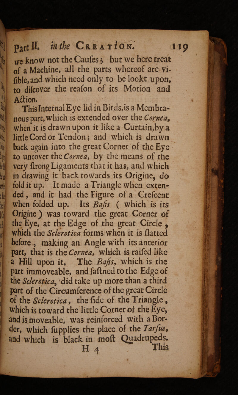 I i, I i I part II* ifithe C re at I on. up ive know not the Caufes 5 but we here treat of a Machine, all the parts whereof are vi- fible, and which need only to be lookt upon, to difcover the rcafon of its Motion and Adion. This Internal Eye lid in Birds,is a Membra¬ nous part, which is extended over the Cornea, when it is drawn upon it like a Curtain,by a little Cord or Tendon; and which is drawn back again into the great Corner of the Eye to uncover the Cornea, by the means of the very ftrong Ligaments that it has, and which in drawing it back towards its Origine, do ^ fold it up. It made a Triangle when exten¬ ded , and it had the Figure of a Crefeent when folded up. Its Bafis ( which is its Origine ) was toward the great Corner of the Eye, at the Edge of the great Circle , which the Sclerotica forms when it is flatted before , making an Angle with its anterior part, that is the Cornea, which is raifed like a Hill upon it. The Bafis, which is the part immoveable, and faftned to the Edge of the Sclerotica^ did take up more than a third part of the Circumference of the great Circle of the Sclerotica, the fide of the Triangle, which is to ward the little Corner of the Eye, and is moveable, was reinforced with a Bor¬ der, which fupplies the place of the Tarfm, and which is black in moft Quadrupeds.