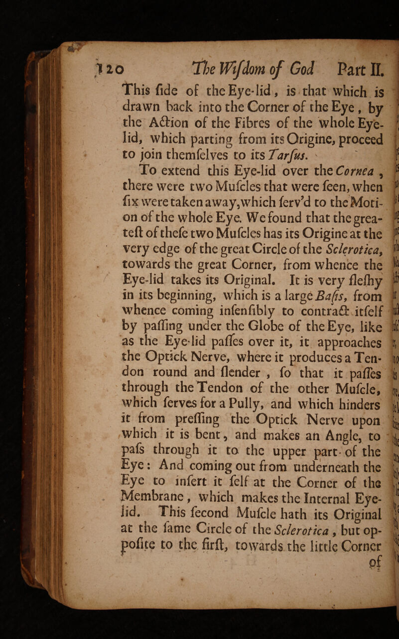 he lorn Part This fide of the Eye-lid , is that which is drawn back into the Corner of the Eye, by the Action of the Fibres of the whole Eye¬ lid, which parting from its Origine, proceed to join themfelves to its Tarfus. To extend diis Eye-lid over the Co rfiea , there were two Mufcles that were feen, when fix were taken a way, which ferv’d to the Moti¬ on of the whole Eye. We found that thegrea- teft of thefe two Mufcles has its Origine at the very edge of the great Circle of the Sekrotka, towards the great Corner, from whence the Eye-lid takes its Original, It is very flefhy in its beginning, which is a large from whence coming infenfibly to contraflidtrelf by palling under the Globe of the Eye, like as the Eye lid palTes over it, it approaches the Optick Nerve, where it produces a Ten¬ don round and (lender , fo that it pafles through the Tendon of the other Mufcle, which fervcsforaPully, and which hinders it from preliing the Optick Nerve upon which it is bent, and makes an Angle, to pafs through it to the upper part of the Eye: And coming out from underneath the Eye to infert it felf at the Corner of the Membrane , which makes the Internal Eye¬ lid. This fecond Mulcle hath its Original at the fame Circle of the Sclerotica, but op- pofite to the, firft, towards the little Corner Pf