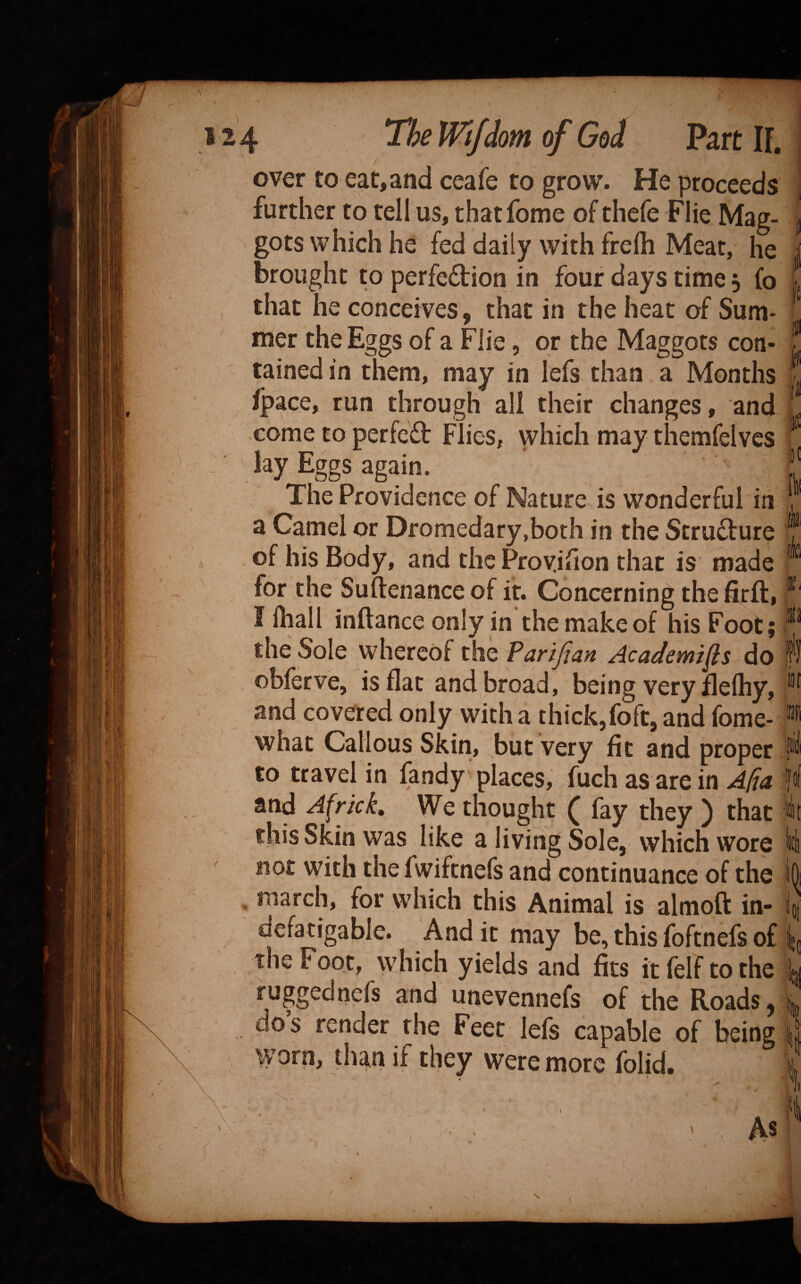 / ^ over to eat,and ceafe to grow. He proceeds further to tell us, thatfome of thefe Flie Mag- \ gots which he fed daily with frefli Meat, he j brought to perfedion in four days time 5 (0 i that he conceives, that in the heat of Sum¬ mer the Eggs of a Fiie, or the Maggots con- f tained in them, may in lefs than a Months ! fpace, run through all their changes, and i come to perfed Flies, which may themfelvcs f lay Eggs again. The Providence of Nature is wonderful in 7 a Camel or Dromedary,both in the Strudure 'j of his Body, and the Provjfion that is made * for the Suftenance of it. Concerning the ftrft, *' I lhall inftance only in the make of his Foot; the Sole whereof the Parifian Academics do obferve, is flat and broad, being very fleihy, and covered only with a thick,foft, and fome- ® what Callous Skin, but very fit and proper to travel in fandy 'places, fuch as are in Ada fof and Afrkk» We thought ( fay they ) that it this Skin was like a living Sole, which wore not with the fwiftnefs and continuance of the k , march, for which this Animal is almoft in- l} aefatigable. And it may be, this foftnefs of the Foot, which yields and fits itfelftothe ki rupednefs and unevennefs of the Roads, k do’s render the Feet lefs capable of being i worn, liwn if they were mote folid. ?