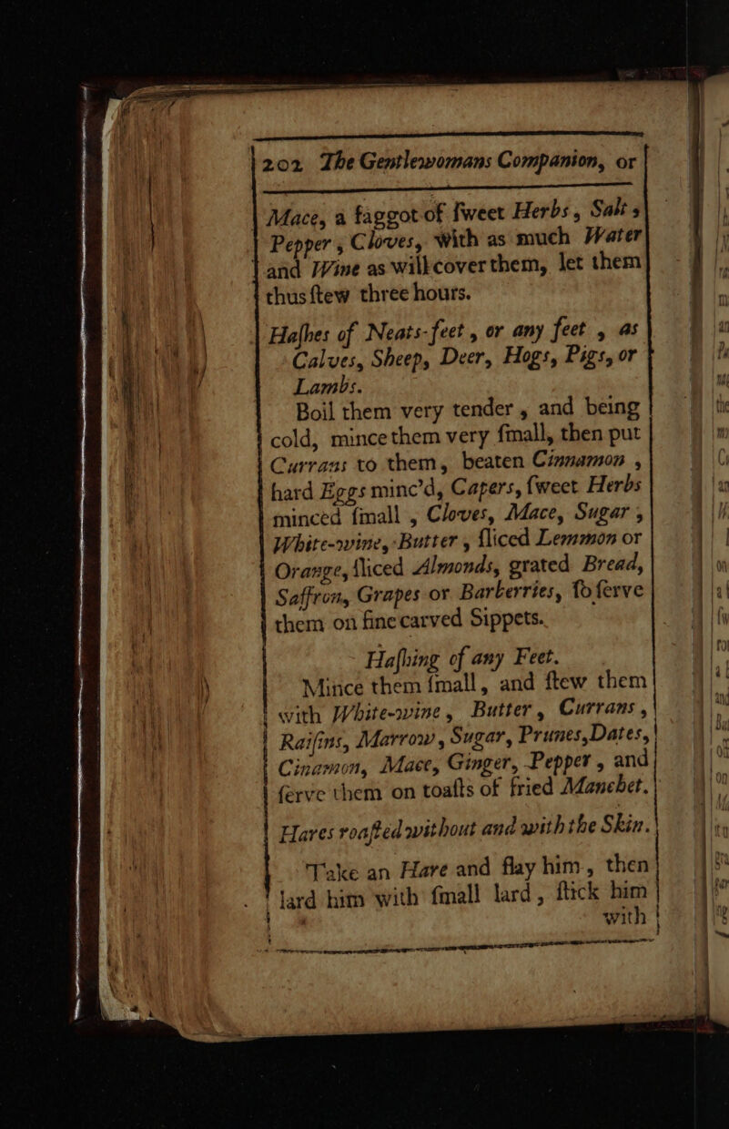 PRs SRR RON ee ea | Mace, a faggot of fweet Herbs, Salt 5 Pepper , Cloves, with as much Water thus ftew three hours. Hafhes of Neats-feet , or any feet , as Calves, Sheep, Deer, Hogs, Pigs, or Lambs. Boil them very tender , and being | cold, mince them very fmall, then put Curraas to them, beaten Cinnamon i hard Eggs minc’d, Capers, {weet Herbs minced fmall , Cloves, Mace, Sugar , White-rwine,: Butter fliced Lemwon or Orange, {liced slinondi grated Bread, Saffron, Grapes or Barberries, fo ferve them on fine carved Sippets. Hafhing of any Feet. Mince them {mall, with White-wine , ferve them on toatts of fried Manebet Hares roafted svithout and withthe Skin. with &lt;&lt; e p i - wai her tig yi