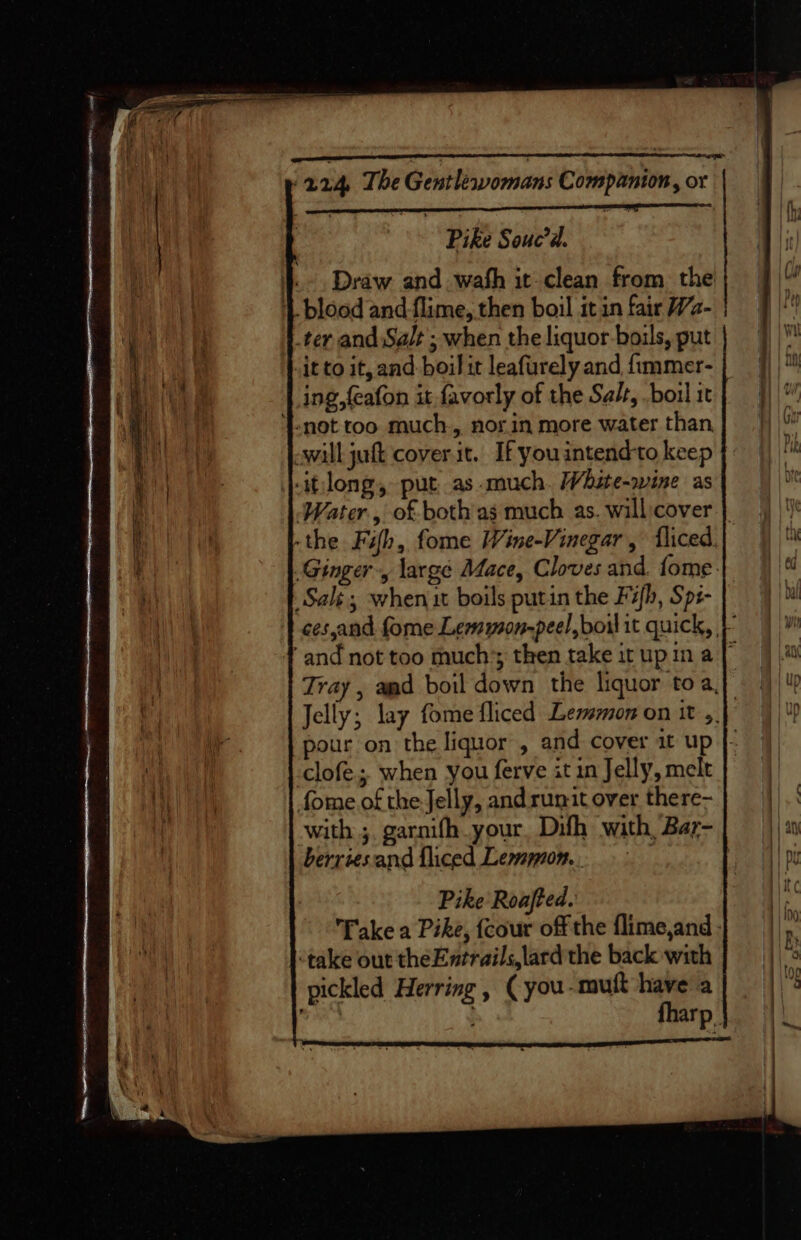 Pike Souc’d. \.- Draw and. wah it clean from the} |” 1 blood and flime, then boil it in fair Wz- if ter and Salt ; when the liquor boils, put ; wa itto it,and boilit leafurelyand fimmer-} ||) ing,feafon it favorly of the Salt, .boilic} 9)” T-not too much., norin more water than Gur will jut cover.it. Ifyouintendtokeep} |) ‘* -itlong, put as much. White-rvine as ui Water, of both as much as. willcover | — §) |) -the Fifh, fome Wine-Vinegar, fliced i Ginger, large Mace, Cloves and. fome} | Sali; when it boils putin the Fuh, Sps- ces,and fome Lemmson-peel, boil it quick, |)» and not too much’; then take itupina |” |). Tray , aad boil down the liquor toa} 4) Jelly; lay fome fliced Lesemon on it .. | Up pour on the liquor , and cover it up clofe; when you ferve it in Jelly, melt fome of the Jelly, and runit over there- i= with ;. garnifh. your, Difh with Bar-| ||. berries and fliced Lemspnom.. | pu Pike Roafted. ir Take a Pike, {cour offthe flime,and} | ini ‘take out theEntrails,lard the back with | “3 pickled Herring, (you-muft have a | le: fharp,