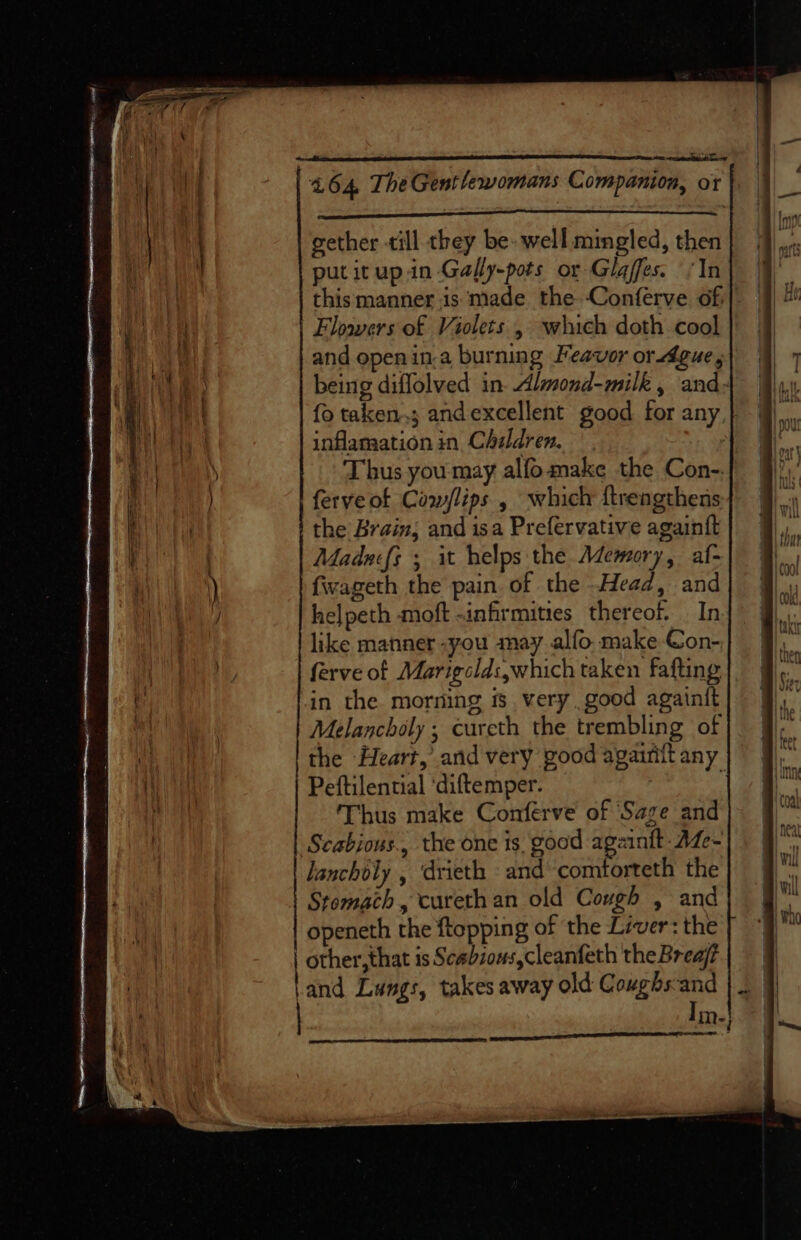 putitupin Gally-pots or Glaffes. (In thismanner.is made the Conferve of: Flowers of Violets , which doth cool and openin,a burning Feavor or dgue, being diffolved in. Almond-milk , and: fo taken; andexcellent good for any inflamation in Chaldren. ' Thus you may alfo make the Con-. ferve of Caw/lips., which {trengthens the Brain; and isa Prefervative againtt | Madnifs ; it helps the Memory, af- ) fwwageth the pain. of the Head, and J helpeth moft -infirmities thereof. In like manner -you may alfo make €on- ferve of Marigcldsswhich taken fafting in the morning i very good againtt Melancholy ; cureth the trembling of the Heart, and very good agairift any Peftilential ‘diftemper. Thus make Conferve of ‘Sage and Scabious., the one is good againft- Aze- lancholy , ‘drieth and’ comtorteth the Stomach, cureth an old Cough , and openeth the ftopping of the Liver: the | other, that is Scabzons,cleanfeth the Breajr IM=; a Te * ”