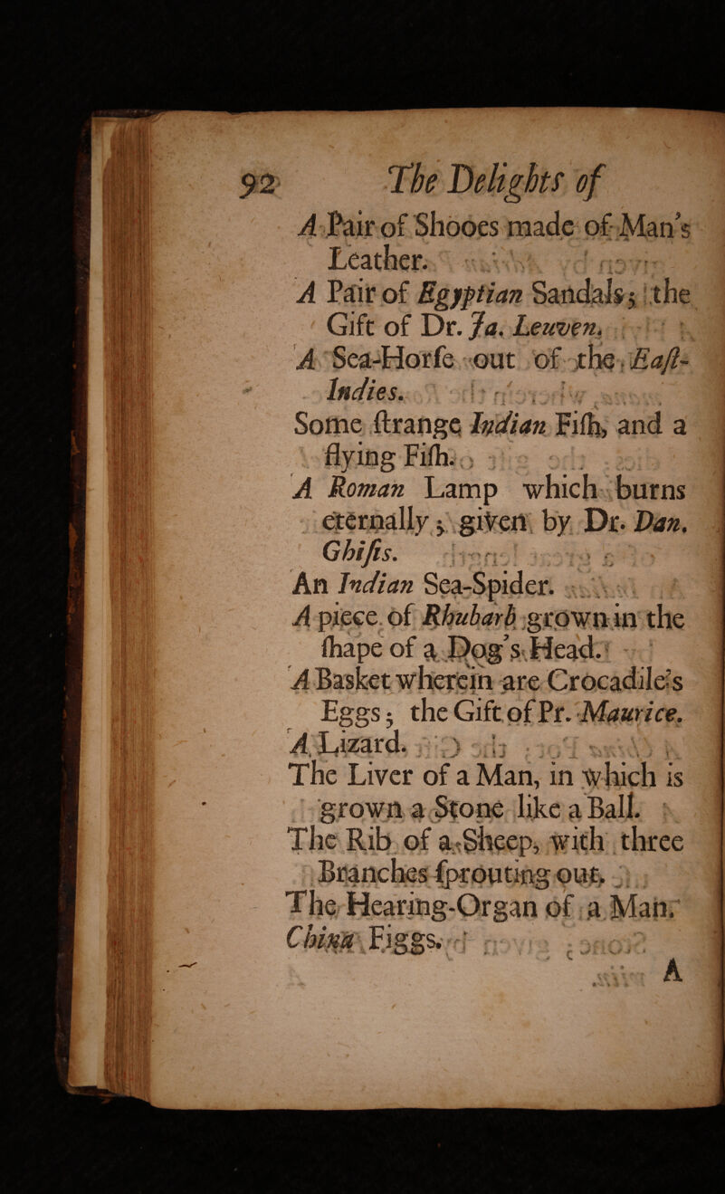 A Pair of Shooes made of Man $ Leather. A Pair of Egyptian Sandals5 the Gift of Dr. Ja, Leuven* A Sea-Horfe out of the Eaft- Indies. Some ft range Indian Fifh, and a flying Fifh. A Roman Lamp which burns eternally y given by Dt-Dan, Ghifes. An Indian Sea-! fe* f w A piece of Rhubarb grown in the lliape of a,L?pgs> ^ *1 ‘s Eggs 5 the Gift of Pr. Maurice. ^Lizard. ) ,b The Liver of a Man, in which is grown a Stone like a Ball. The Rib of a Sheep, with three