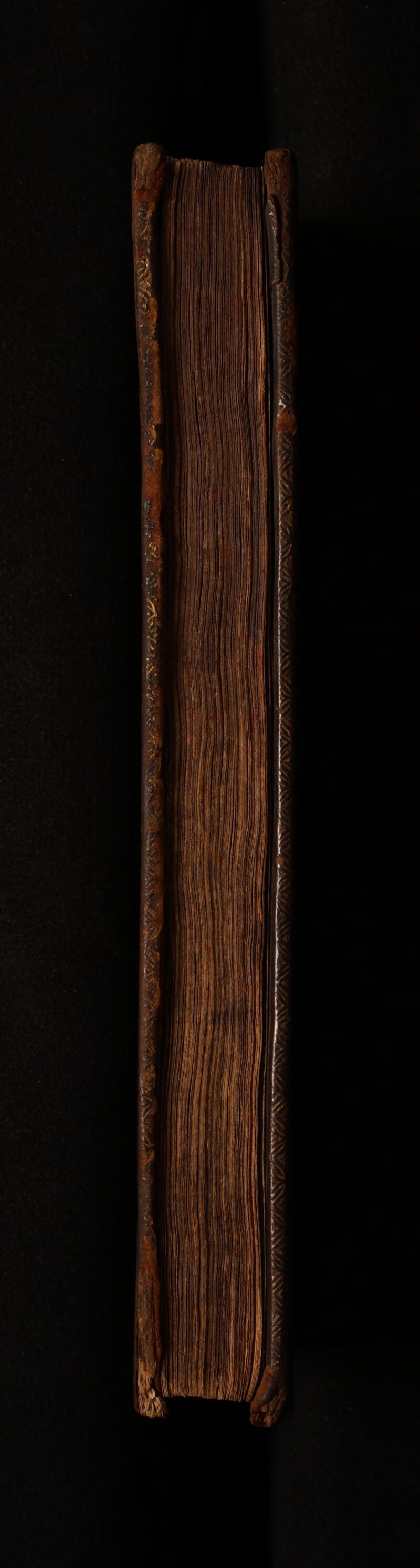 No text description is available for this image