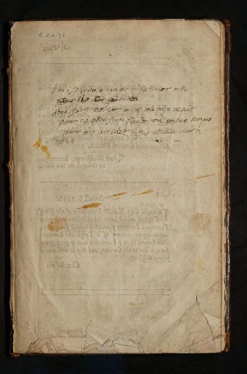 No text description is available for this image