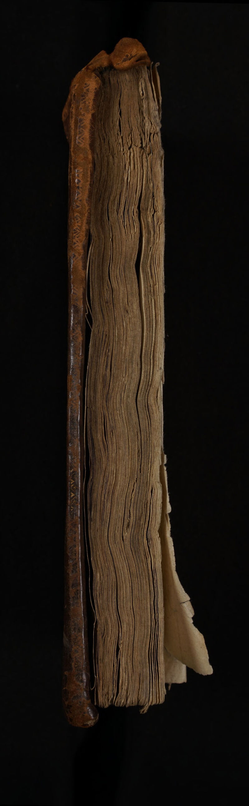 No text description is available for this image