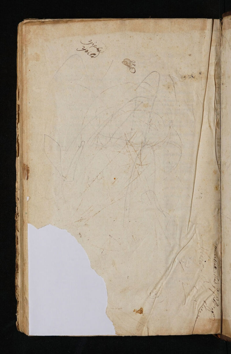 No text description is available for this image