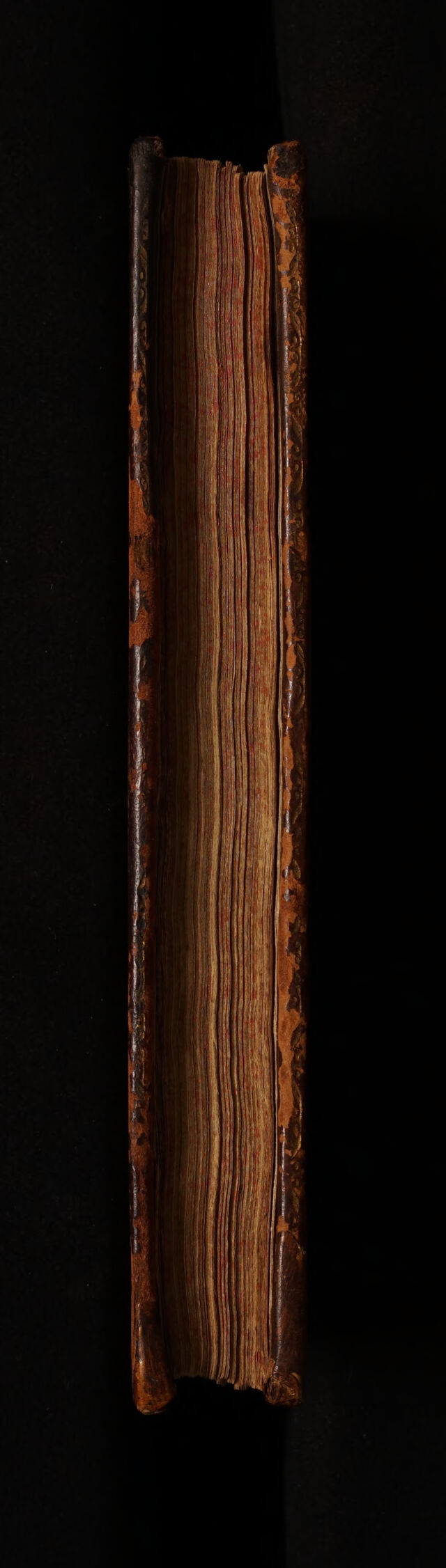 No text description is available for this image