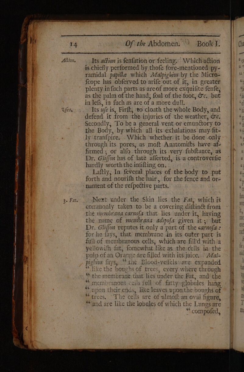 of ie Abdomen.) BookT. |) (kx com pofed, He Aiton. Its ein is Gaticioh or sified nie “Which BBioii qf \ is chiefly performed by thofe fore-mentioned :py- eee | Dhidal, papilla which Adalpighiws by the Micro- | oe A fcope has obferved to arife out of it, in greater [| “ plenty infuch parts as are of more exquifi telfenfeé; $f} 4 as the palm of the hand, foal of the foot, oc. but Hs in lefs, in fuch as are of a more dull, fd Ufese Its ufe is, Firft, ‘to cloath the:whole Body, andj} “| defend it from the injuries of the weather, c. | My Secondly, To be a general vent or emunétory to BL) 4 the Body, by which all its exhalations may fit- [| 4{ ly tranf{pire. .Which whether it be done .only~ || «, through its pores, as moft Anatomifts haveaf- ~}| « . firmed; or alfo through its very fubftance, as ff) « | Dr. Gliff on has of late aflerted, is acontroverfie || « iL hardly worth the infifting on. Bo 4 a Laftly, In feveral places of the body to put || 4, i forth and nourifh the hair, for the fence and or- || « 4 nament of the refpective parts, | (! Fa, - Next under the Skin lies the Fat, which is |] ™ commonly taken to be a covering difting from | iy | the membrana carnofa that lies under it, having | ) | the mame of membrana adipofa given its but # g Dr. Gh i{jon reputes it only a part of the ear rnofa : : | ve i | , for he days, that. membrane in its outer part is es | | fill of membranous cells, which are fill'd with | ‘ | @ vel lowith: fat t, fomewhat like as. the cells ia thé a. | pulp of ai range are filled with its juice...’ AZal= Le i pighius fives Tae Blood: vellelssare: expanded. ff ! | “like the boughs of trees, ev ery where through . * | “*-the membrane; that A under the Fat, and the ti “membranous. cells Full of fattyglobi ales hang oe  | “upon their.ends, like leaves upon the boughs of a ri “trees. ‘The cells are of almattan ov al figure, I | “and are like the lobules of which the Lungs are J | | |