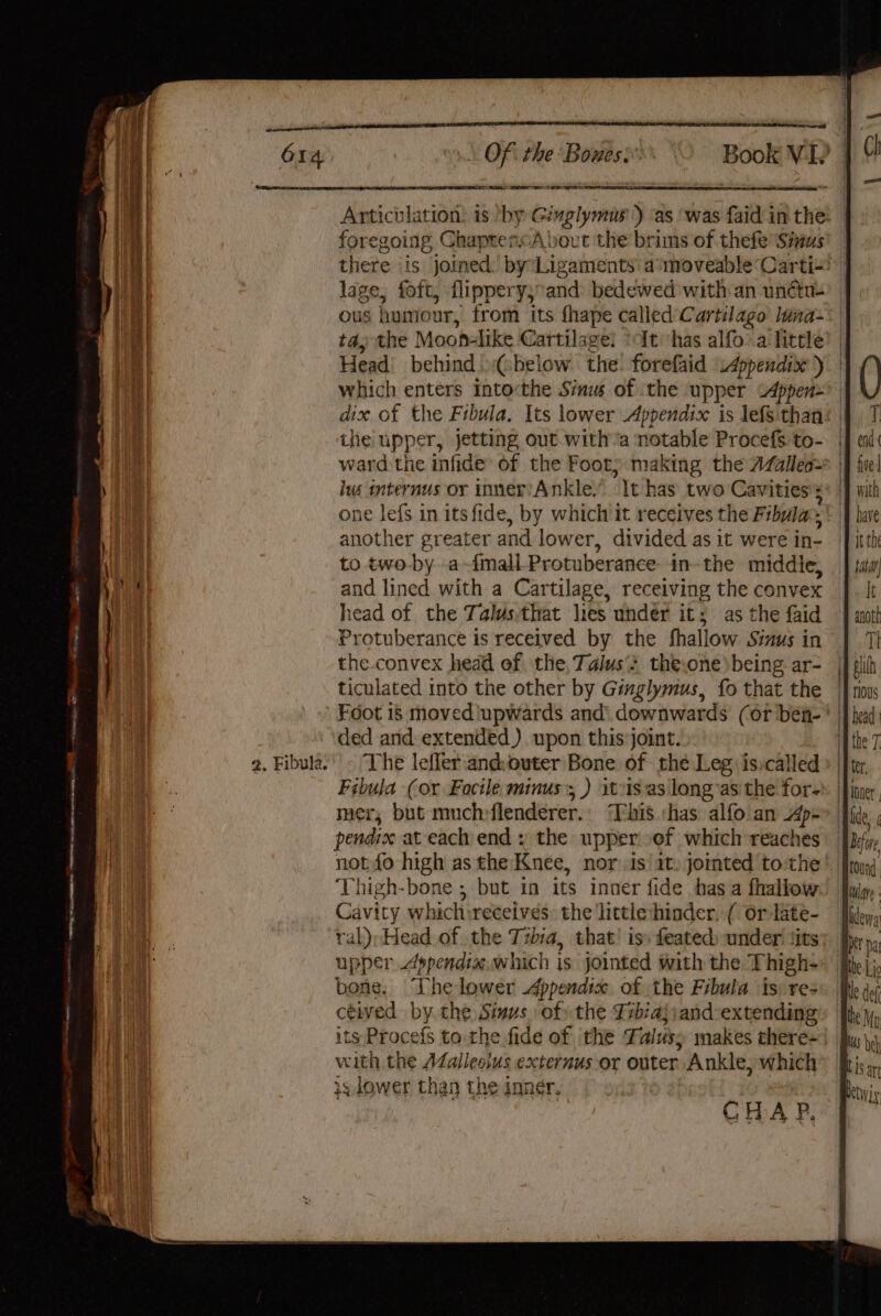 OI aN Ee wr oe foregoing ChaptensA bout the brims of thefe Sims lage, foft, flippery,and bedewed with an un¢étu- ous humour, from its fhape called’ Cartilago luna» Head behind (below the! forefaid Appendix ) dix of the Fibula. Its lower Appendix is lefs than the upper, jetting out with’a notable Procefs to- one lefs in its fide, by which it receives the Fibula another greater and lower, divided as it were in- to two-by.a {mall Protuberance. in- the middie, and lined with a Cartilage, receiving the convex head of the Talus.that lies under it; as the faid Protuberance is received by the fhallow Simus in the.convex head of the, Talus‘: the,one being ar- ticulated into the other by Ginglymus, fo that the ded and extended) upon this joint. The lefler and:outer Bone of the Leg: isicalled Fibula (or Focile minus’; ) 1t:is.as long’as the for- mer, but mucheflenderer.. ‘This :has. alfo an Ap- pendix at each end: the upper. ef which reaches not fo high as the:Kneée, nor is’ it) jomted tothe Thigh-bone ; but in its inner fide has a fhallow Cavity which:receives: the little:hinder, ( or late- ral), Head of the Tzbia, that’ is» feated: under tits upper dppendix.which is jointed with the Thigh- bone. The lower Appendix. of the Fibula is: res ceived by the Sinus of) the Tsbia}s and extending its Procefs to the fide of the Falusy makes there- with the AZalleoius externus or outer Ankle; which 33, lower than the inner. CHAP,