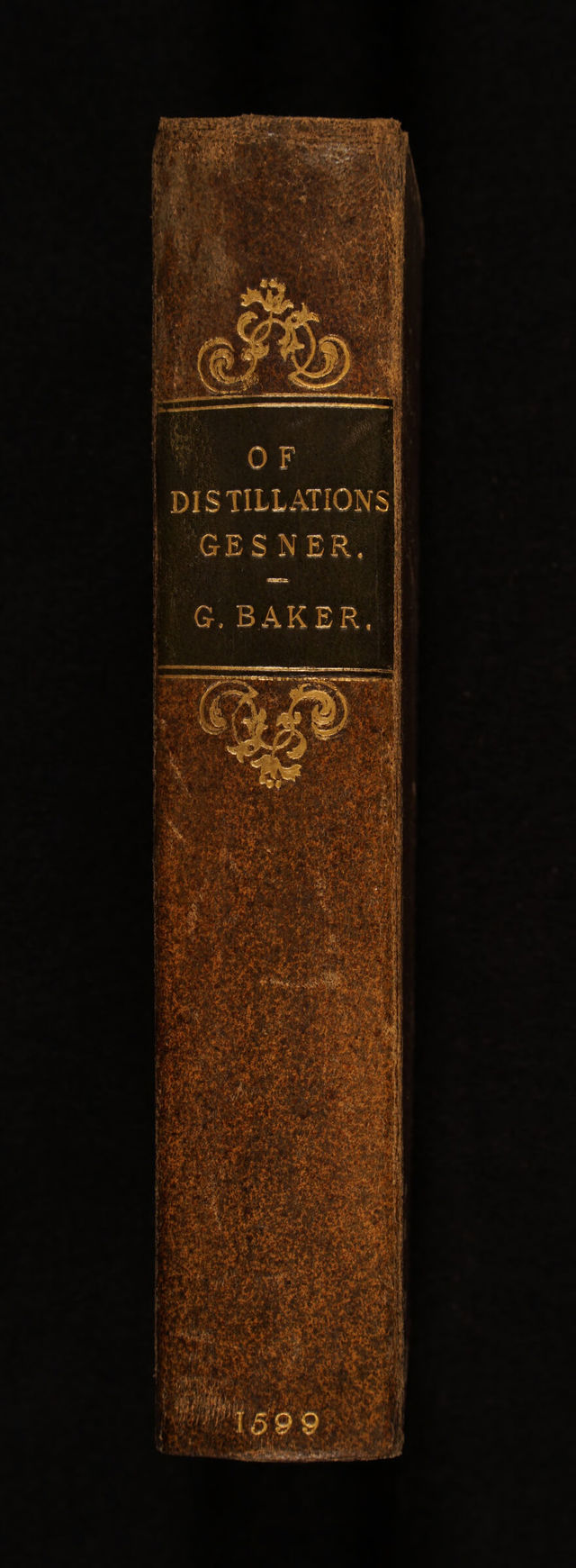 digitised image 2