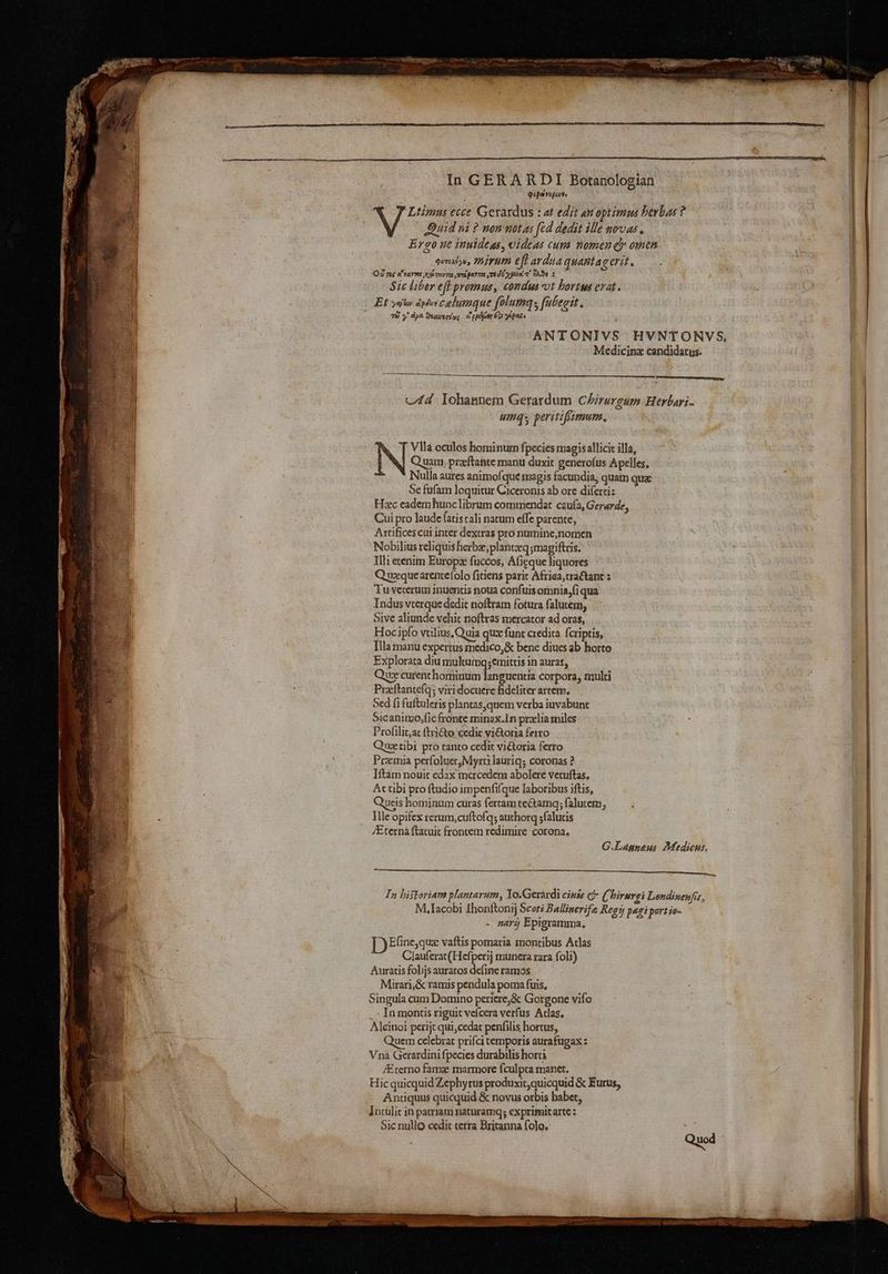 In GERARDT Botanologian . PEpwrupcove ; Ltinms ecce Gerardus : at edit an optimus berbas ? ! Quid ni ? non notas fed dedit ille novas. | Ergo ne inuideas, videas cum nomen cy omen | qrmaby, Mira eff ardia quanta Cerib. Ol ne VAY IRE SE Tey Tee Bre PAITEL TES yette eT’ HASH Sic liber eft promus, condus vt hortus erat. Et yao epi columaque foluma, fubecit. . , Te y apes avto'ac ce peaedy 633 ye pera | ANTONIVS HVNTONVS, Medicine candidatys. 4d Tohannem Gerardum Chirurgum Herbari. uing,, peritifimum, ‘Vila oculos hominum fpecies magisallicit illa, Quam, preeftante manu duxit generofus Apelles, Nulla aures animofque magis facundia, quam qux Se fufam loquitur Ciceronis ab ore diferci: Hee eadem hunclibrum commendat caufa, Gerarde, Cui pro laude fatistali nacum effe parente, Artifices cat inter dextras pro numine,nomen Nobilius reliquis herbz, plantq ;magiftris. Illi etenim Europx fuccos, Afigque liquores Quequearentefolo fitiens parit Africa,tratant s Tu-vererum inuentis noua confuis omnia,fi qua Indus veerque dedit noftram fotura falucem, | Sive aliunde vehit noftras mercator ad oras, | Hocipfo vtilius.Quia que funt credita {criptis, Tilamanu expertus medico,&amp; bene diues ab horto Explorata diu muleumq;emittis in auras, ; Que curenthominum languentia corpora, multi Praeftantelq; viridocuere fideliter artem. Sed fi fuftuleris plantas,quem verba iuvabunt | SSS Sicanimo,ficfronte minax.In przlia miles Profilic,at {tri€to ‘cedie viGtoria ferro Que tibi pro tanto cedit vidteria ferro Premia perfoluet,Myrtilauriq; coronas ? ]ftam nouit edax mercedem abolere vetuftas. Ac tibi pro ftudio impenfifque laboribus iftis, Queis hominam curas fercam tectama; falutem, Ille opifex rerum,cuftofq; authorg ;falutis ‘Eterna ftacuic frontem redimire corona. G.Laaneus Medicus. on) | a In biStoriam plantarum, 1o.Gerardi cinis &amp; (1 hirurgi Londinenfit, | M. Jacobi Lhonftonij Scott Balliinerife Regy pagi portie- b - nary Epigramma, [) Ffine, que vaftis pomaria montibus Atlas Clauferat(Hefperij munera rara foli) Auratis folijs auratos define ramos Mirari,&amp; ramis pendula poma fuis, Singula cum Domino periere,&amp; Gorgone vifo . In montis riguit vefcera verfus Aclas. Aleinoi perijt qui,cedat penfilis hortus, Quen celebrac prifci temporis aurafugax : Vna Gerardini f{pecies durabilis horts AEterno fame marmore fculpta manet. Hic guicquid Zephyrus produxit,quicquid &amp; Eurus, Antiquus quicquid &amp; novus orbis habet, Jnculic in patriam naturamq; exprimicarte : Sic nullo cedit tetra Britanna folo.