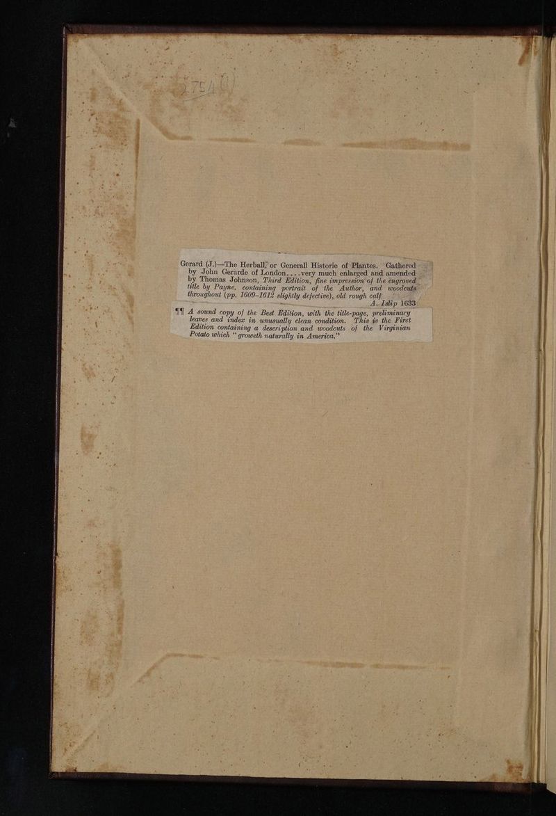 ORNL enpirnranennete rire En Meritt ene esis oninertre oe dru i Aas Daniibeshainesishdilieaicchraoietecae nee Gerard (J.)—The Herball; or Generall Historie of Plantes. Gathered by John Gerarde of London. ...very much enlarged and amended by Thomas Johnson, Third Edition, fine impression of the engraved title by Payne, containing portrait of the Author, and woodcuts throughout (pp. 1609-1612 slightly defective), old rough calf = A. Islip 1633 {{] A sound copy of the Best Edition, with the title-page, preliminary leaves and index in unusually clean condition. This is the First Edition containing a description and woodcuts of the Virginian Potato which “ groweth naturally in America.”