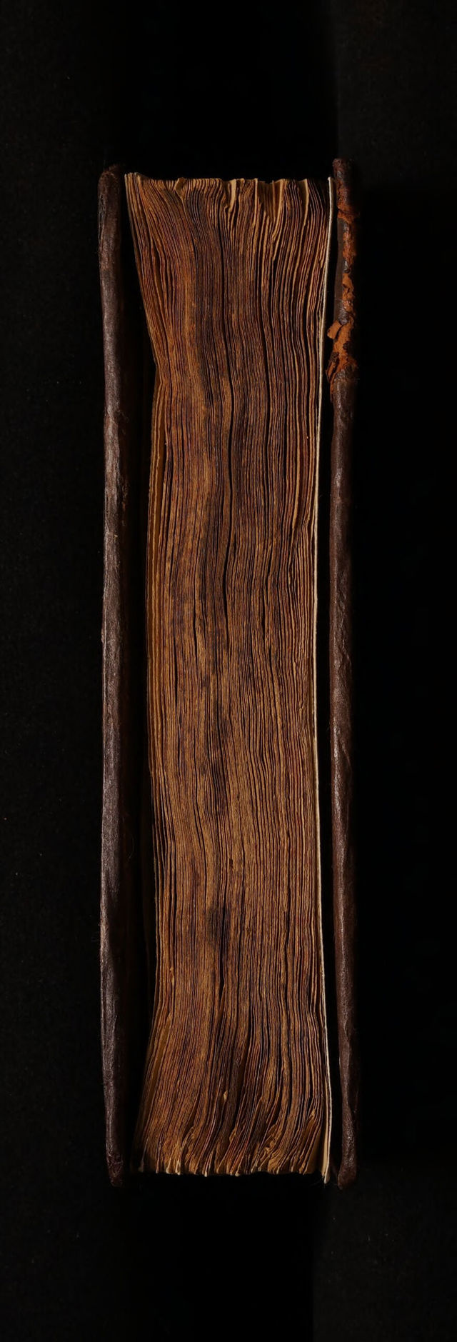 digitised image 3