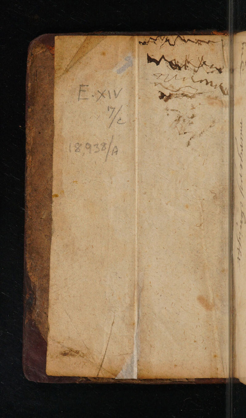 No text description is available for this image