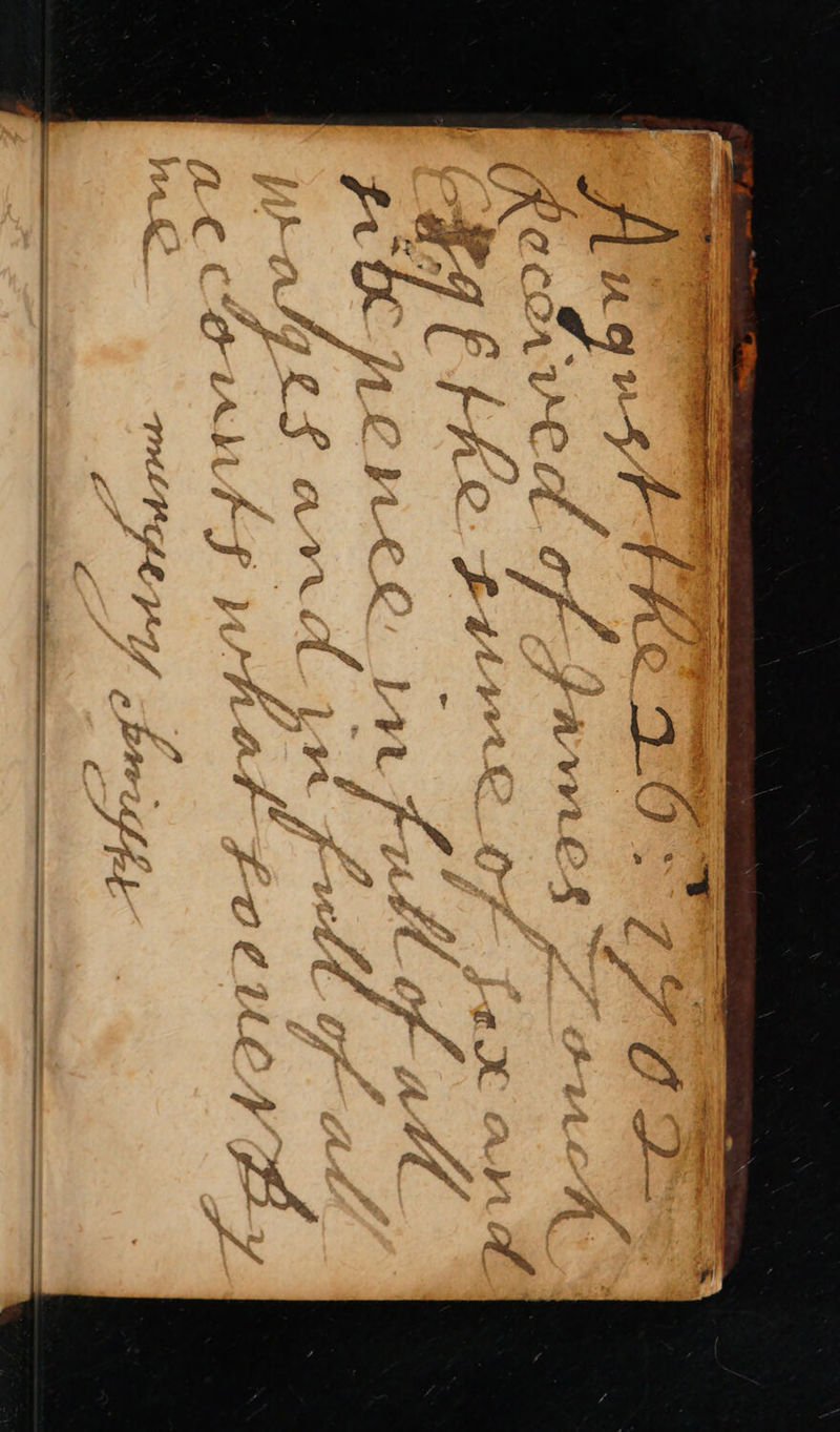 No text description is available for this image