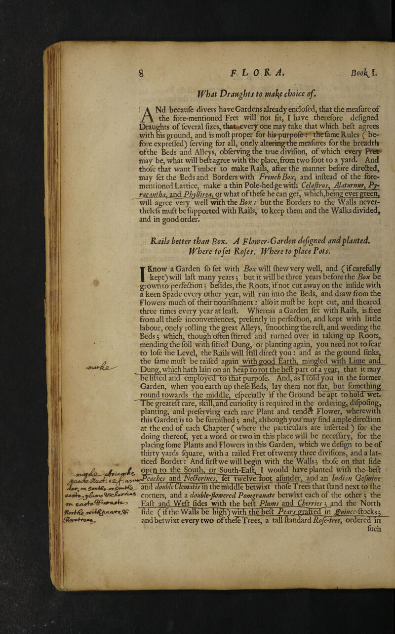 What Draughts to mah^e choice of. ANd becaufe divers have Gardens already enclofed, that the mealure of the fore-mentioned Fret will not fit, I have therefore defigned Draughts of feveral fizes, that^ievery one may take that which beft agrees with his ground, and is moft proper for his purpofe: the fame Rules ( be¬ fore exprefled) ferving for all, oncly altering the meafiires for the breadth ofthe Beds and Alleys, obfervingthe truedivifion, of which every F¥et may be, what will beft agree with the place, from two foot to a yard. And thofe that want Timber to make Rails, after the manner before direfted, may let the Beds and Borders with FrenchBox^ and inftead of the fore- mentioned Lattice, make a thin Pole-hedge with Celafirns^ AUturnus^ Py- racmtha^ and Phyllirea^ or what of thefe he can get, which.being ever green^ will agree very well with the Box: but the Borders to the Walls never- theleft muft be (upported with Rails, to keep them and the Walks divided, and in good order. I Kails better than Box, A Flower-Garden defigned and flanted. Where to fet Kofes, Where to place Fots, Know a Garden fofet with will (hew very well, and (ifcarefully _ kept) will laft many years 5 but it will be three years before the Box be grown to perfeftion ^ befides, the Roots, if not cut away on the infide with a keen Spade every other year, will run into the Beds, and draw from the Flowers much of their nourifhment: ahb it muft be kept cut, and ftieared three times every year at leaft. Whereas a Garden let with Rails, is free from all thefe inconveniences, prefently in perfection, and kept with little labour, onely rolling the great Alleys, fmoothing the reft, and weeding the Beds ^ which, though often ftirred and turned over iri taking up Roots, mending the foil with fifted Dung,- or planting again, you need not to fear to lofe the Level, the Rails will ftill direCt you: and as the ground finks, the feme muft be raifed again with good Earthy mingled with Lime and ^ Dung, vyhichhath lain on an heap torot the beft part ofa^year, that it may be lifted and employed to thafpurpofe. And, iTl toldyou in the former Garden, when you earth up thefe Beds, lay them not flat, but fomething ^und towards the middle, efpecially if the Ground be apt to hold wet.  The greateft care, skill, and curiofity is required in the ordering, dilpofing, planting, and preferving each rare Plant and tendS’ Flower, wherewith this Garden is to be furnifhed 3 and, although you^may find ample direction at the end of each Chapter ( where the particulars are inferred ) for the doing thereof, yet a word or two in this place will be neceflary, for the placing feme Plants and Flowers in this Garden, which we defign to be of thirty yards Iquare, with a railed Fret oftwenty three divifions, and a lat¬ ticed Border: And firft we will begin with the Walls 5 thofe on that fide open to the South, or South-Eaft, I would have planted with the'-beft ^_- NeBcrines^ let twelvOoot afunder, and an Indian Gefinine ^nd double Clematis in the middle betwixt^thofe Trees that ftand next to the corners, and a double-flowered Pomgranate betwixt each of the other ^ the ^ Eaft and Weft fides with the beft Plums and Cherries yand the North fide (if the Walls be high) with tHc^beft Pears j^uince-ikocky^ and betwixt every two of thelFTrees, a tall ftandard Rofe-tree, ordered in fuch