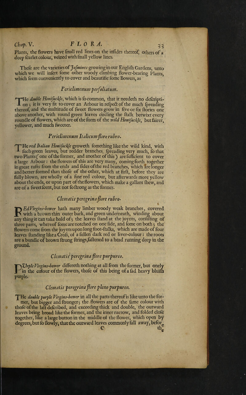 Plants, the flowers have fmall red lines on the infides thereof, others of a deep fcarlet colour, veined with (mall yellow lines. v Thefe are the varieties of^^J^wrx growing in our Englifh Cardens, unto which we will inlert fome other woody climbing flower-bearing Plants, which feem conveniently to cover and beautifie fome Boweis, as' F Qriclimemtm perfoliatnm. THe double Homfuc^le^ which is fo common, that it needeth no delcripti^ on 5 it is very fit to cover an Arbour in relpeft of the much fpreading thereof and the multitude of fweet flowers grow in five or fix (lories one above another, with round green leaves circling the (talk betwixt every roundle of flowers, which are of the form of the wild Honifuckle^ but fairer, yellower, and much (weeter. Fericlimemm Italicumflore rubro. nr red Italian HonijucklegxGwtth. fomething like the wild kind, with filch green leaves, but redder branches, (preading very much, (b that two Plants ('one of the former, and another of this ) are fiifficient to cover a large Arbour: the flowers of this are very many, coming forth together in great tufts from the ends and fides of the red branches, which are longer and better formed than thofe of the other, which at firft, before they are fully blown, are wholly of a fine red colour, but afterwards more yellow about the ends, or upon part of the flowers, which make a gallant (hew, and are of a (weet (cent, but not (b (trong as the former. PEdVirgins-bower hath many limber woody weak branches, covered with a brown thin outer bark, and green underneath, winding about any thing it tan take hold of, the leaves (land at the joynts, confifting of three parts, whereof (bme are notched on one fide, and feme on both 5 the flowers come from the joynts upon long foot-(lalks, which arc made of four leaves (landing like a Cro(s, of afiillen dark red or liver-colour: the roots are a bundle of brown (Irong firings,fattened to a head running deep in the ground. Clematis peregrinaflore purpurea. PTJrpleVirgins-bower differeth nothing at all from the former, but onely in the colour of the flowers, tho(e of this being of a (ad heavy bluilh purple. Clematis peregrinaflore plena purpurea. THe double purple Virgins-bower in all the parts thereof is like unto the for¬ mer, but bigger andttronger, the flowers are of the (ame colour with thofeofthe lali delcribed, and exceeding thick and double, the outward leaves being broad like the former, and the inner narrow, and folded clo(e __ Tir - 1 1 ___: j Ji_L a_ —U—