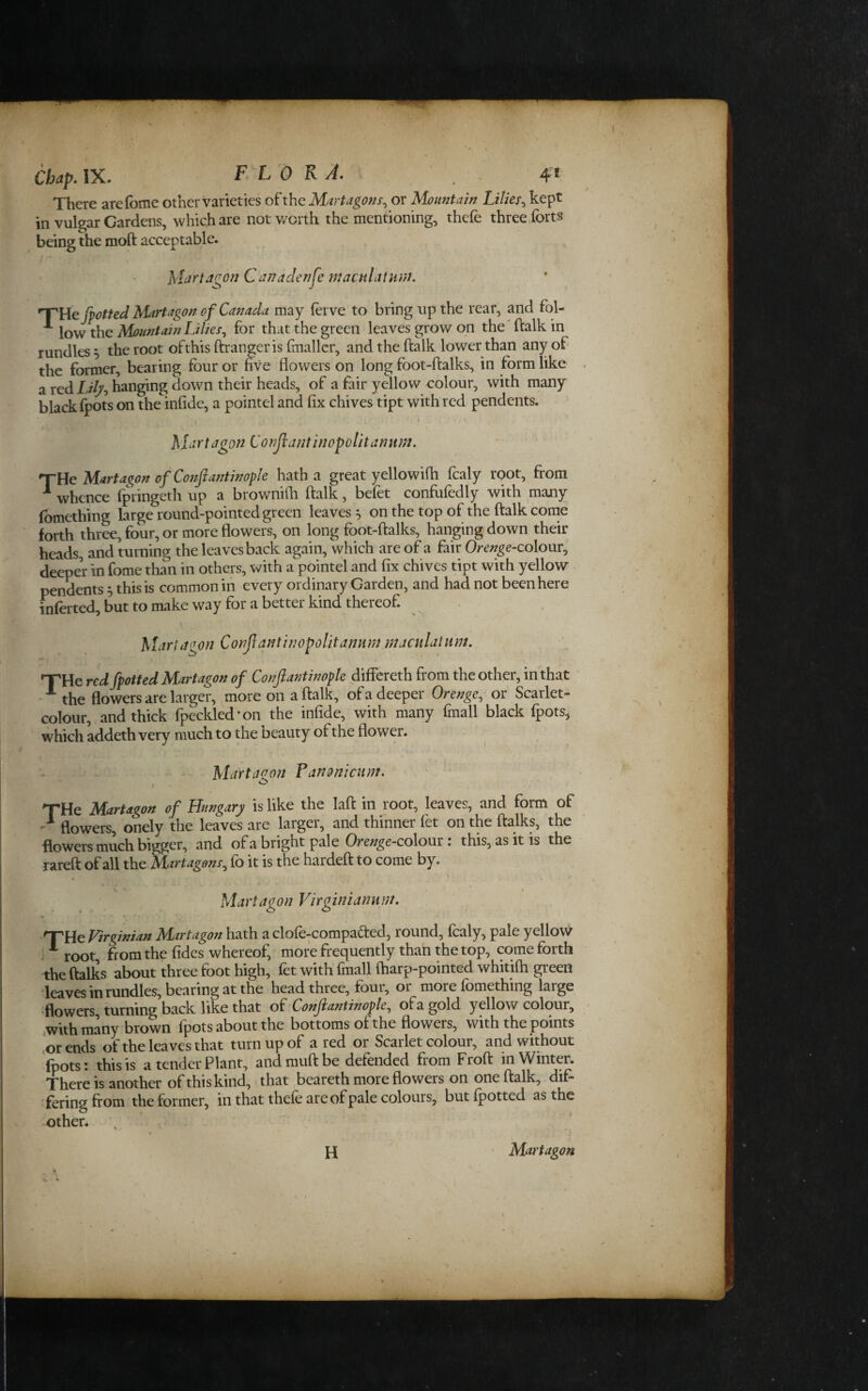 Chap, IX. There arefome other varieties of the Martagof;s^ or Mountain Lilies^ kept in vulgar Cardens, which are not worth the mentioning, thefe three forts being the moft acceptable. Ma^taQonCanaden^e macnlaiuriU ’^Uejpotted Mirtagon of Canada may forve to bring up the rear, and fol- low the Mountain Lilies^ for that the green leaves grow on the' ftalk in rundles 5 the root ofthis ftrangeris fmaller, and the ftalk lower than any of the former, bearing four or five flowers on long foot-ftalks, in form like a red Lily-, hanging down their heads, of a fair yellow colour, with niany black fpo4 on the infide, a pointel and fix chives tipt with red pendents. ^ whence fpringeth up a brownifli ftalk, befet confufedly with many fomething brge round-pointed green leaves 5 on the top of the ftalk come forth three, four, or more flowers, on long foot-ftalks, hanging down their heads, and turning the leaves back again, which are of a fair Orenge-colom^ deeper in fome than in others, with a pointel and fix chives tipt with yellow pendents , this is common in every ordinary Garden, and had not been here inferte^ but to make way for a better kind thereof. Marlaaon Conflantirwpolitanum maailatnm. XHe red fpotted Mart agon of Conjiantinople differeth from the other, in that ' •the flowers are larger, more on a ftalk, of a deeper Orenge, or Scarlet- colour, and thick fpeckled*on the infide, with many fmall black fpots, which addeth ver^ much to the beauty of the flow er. flowers, onely the leaves are larger, and thinner fet on the ftalks, the flowers much bigger, and of a bright pale Orenge-colom: this, as it is the rareft of all the Martagonr^ fo it is the hardeft to come by. .•root, fromthefides whereof, more frequently than the top, come forth the ftalks about three foot high, fet with fmall ftiarp-pointed whitifti green leaves in rundles, bearing at the head three, four, or more fomething large ‘flowers, turning back like that of Conjiantinople, of a gold yellow colour, *with many brown fpots about the bottoms ot the flowers, with the points .or ends of the leaves that turn up of a red or Scarlet colour, and without fpots: this is a tender Plant, andmuftbe defended from Froft in Winter. There is another of this kind, that beareth more flowers on one ftalk, dif- 'fering from the former, in that thefe are of pale colours, but fpotted as the other. H Moi'tagon