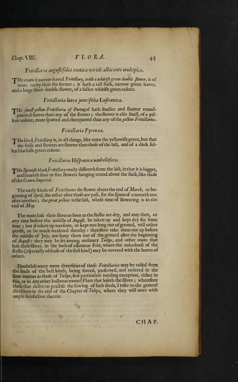 Chap. VIII. FLORA. 45 Fritillaria angnjiifolia exotica ^iridi alhicaitte multiplex. 'THe exotickjmrrovp-leaved Fritillary^ vpith a whitifi green double flower^ is of more rarity than the former 5 it hath a tall ftalk, narrow green leaves^ and a large fliort double flower, of a fullen whitifh green colour. Fritillaria lutea juncifolia Lufitanica. THe [mailyellow Fritillaria of Portugal hath (mailer and (horter round- ^ pointed leaves than any of the former 5 the flower is alfb (mall, of a yel¬ low colour, more (potted and checquered than any of the yellow Fritillaries. Fritillaria Tyrenaa. ^UQblack^Fritillary is, in all things, like unto the yellowifligreen,but that ■* the ftalk and flowers are ftiorter than thofe of the laft, and of a dark ful¬ len blackifti green colour. Fritillaria Hifpanica umbellifera. ’TUeSpanifi blackFritillary onely differethfrom the laft, in that it is bigger, ^ andbeareth four or five flowers hanging round about the ftalk,like thofe of the Crown Imperial. The early kinds of Fritillaries do flower about the end of March^ or be¬ ginning oi April the other after thofe are paft, for the (pace of amoneth one after another 5 great yellow is the laft, whole time of flowering is in the end of May. The roots lofe their fibres as foon as the ftalks are dry, and may then, or any time before the middle of be taken up and kept dry for fome time 5 but if taken up too foon, or kept too long out ofground, will either perifh, or be much weakned thereby : therefore take them not up before the middle of July, nor keep them out of the ground after the beginning of Augufl: they may be (et among ordinary Tulips^ and other roots that lofe their fibres, in the beds of a Knot or Fret, where the nakednefs of the ftalks (efpecially of thofe of the firft kind) may be covered with the leaves of others. Doubtlels many more diverfities of thefe Fritillaries may be railed from the feeds of the beft kinds, being fowed, preferved, and ordered in the lame manner as thofe of Tulips^ few particulars needing exception, either in this, or in any other bulbous-rooted Plant that lofeth the fibres 5 wherefore thofe that defire to praftife thefowing of fuch feeds, I refer to the geneml direftions in the end of the Chapter of where they will meet with ample fatisfaftion therein. CHAP.