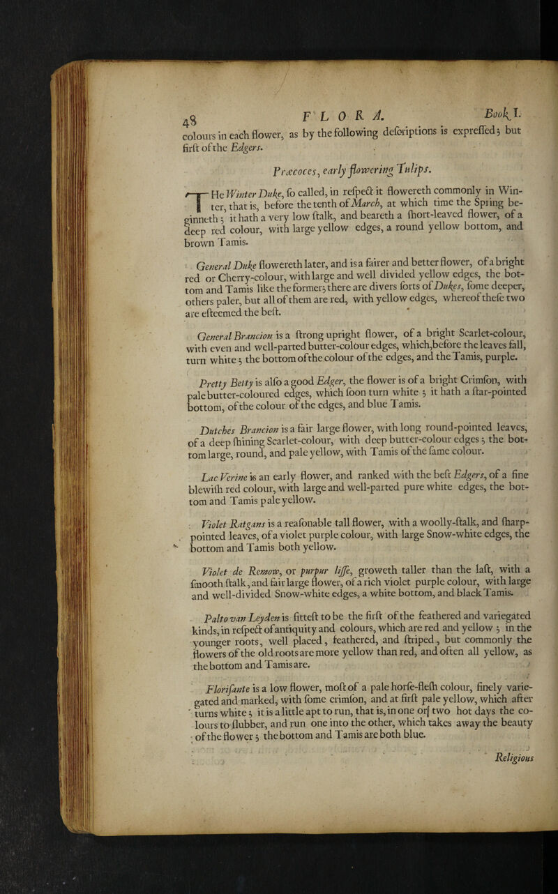 Lours in each flower, as by the following deforiptions is exprelTed^ but firft of the Edgers. Frdccoces^ earJy flowering Tulips, THe Winter Duke, fo called, in refpedt it flowereth commonly in Win¬ ter that is, before the tenth of at which time the Spring be- einneth / it hath a very low ftalk, and beareth a Ihort-leaved flower, of a deep red colour, with large yellow edges, a round yellow bottom, and brown Tamis. ^ General Duke flowereth later, and is a fairer and better flower, of a bright red or Cherry-colour, withlarge and well divided yellow edges, the bot¬ tom and Tamis like the former, there are divers forts Dukes, fome deeper, others paler, but all of them are red, with yellow edges, whereof thefe two are efteemed the beft. General Brandon \s2i ftrong upright flower, of a bright Scarlet-colour, with even and well-parted butter-colour edges, which,before the leaves fall, turn white 5 the bottom ofthe colour of the edges, and theTamis, purple. Pretty Betty is alfo a good Edger^ the flower is of a bright Crimfbn, with pale butter-coloured edges, which foon turn white 5 it hath a {far-pointed bottom, of the colour of the edges, and blue T amis. » I t. Dutches Brandon is a fair large flower, with long round-pointed leaves, of a deep Alining Scarlet-colour, with deep butter-colour edges ^ the bot¬ tom large, round, and pale yellow, with Tamis of the fame colour. Lac Ferine is an early flower, and ranked with the beft Edgers, of a fine blewifli red colour, with large and well-parted pure white edges, the bot¬ tom and Tamis pale yellow. ; Violet Ratgans is a reafonable tall flower, with a woolly-Aalk, and Iharp- . pointed leaves, of a violet purple colour, with large Snow-white edges, the bottom and Tamis both yellow. Violet de Remow, or purpur lip, groweth taller than the laA, with a fmooth Aalk, and fair large flower, of a rich violet purple colour, with large and well-divided Snow-white edges, a white bottom, and black Tamis. Palto van Leyden is fitteA to be the fii A ofthe feathered and variegated kinds, in refpeft ofantiquity and colours, which are red and yellow 3 in the younger roots, well placed, feathered,sand Ariped, but commonly the flowers ofthe old roots are more yellow than red, and often all yellow, as the bottom and Tamis are. Florifante is a low flower, moA of a pale horfe-fleAi colour, finely varie¬ gated and marked, with fome crimfon, and at fir A pale yellow, which after ' turns white 3 it is a little apt to run, that is, in one orj two hot days the co¬ lours to (lubber, and run one into the other, which takes away the beauty ' ofthe flower 3 the bottom and Tamis are both blue. V • -J Religions \ . .