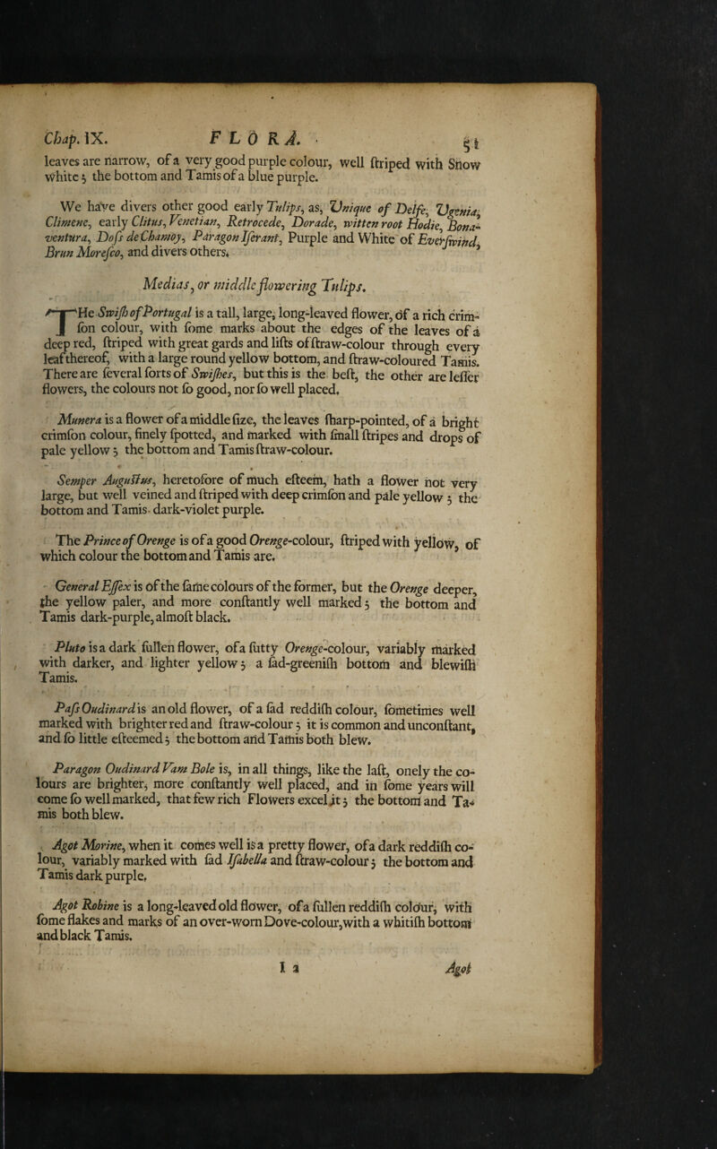 leaves are narrow, of a very good purple colour, well ftriped with Show white 5 the bottom and Tamis of a blue purple. We have divers other good early Tulips, as, Vmque of Delfe, Vgtma Cljmem, C2ix\y Clitus, Venetian, Retrocede, Dorade, witten root Hodie Bona^ ventura, Dofs deChamoy, Pdragoniferant, Purple and White'of EverCwind Brun Morefco, and divers others* ^ Medias^ or middle flowering Tulips, THe Swijh of Portugal is a tall, larger long-leaved flower, of a rich crim- fon colour, with fbme marks about the edges of the leaves of a, deep red, ftriped withgreatgards and lifts offtraw-colour through every leaf thereof, with a large round yellow bottom, and ftraw-coloured Tasiis. There are feveral forts of SwiJljes, but this is the* beft, the other are leffer flowers, the colours not fb good, nor fo well placed, Munera is a flower of a middle fize, the leaves ftiarp-pointed, of a bright crimfon colour*, finely fpotted, and marked with fiiiall ftripes and drops of pale yellow ^ the bottom and Tamis ftraw-colour. • Semper Augulius, heretofore of much efteem, hath a flower hot very large, but well veined and ftriped with deep crimfon and pale yellow 3 the' bottom and Tamis. dark-violet purple. The Prince of Orenge is of a good Orenge-Qolom^ ftriped with yelfow^ of which colour the bottom and Tamis are. I ' General Ejfex is of the fame colours of the former, but the Orenge deeper, the yellow paler, and more conftantly well marked 5 the bottom and Tamis dark-purple, almoft black. jP/«to is a dark fiillen flower, ofafiitty Orenge-colom^ variably marked with darker, and-lighter yellow, a fod-greenifh bottom and blewifti Tamis. ^ I • f * - - I ■ ■ ■ PafsOudinardis an old flower, of a fad reddifh colour, fometinies well marked with brighter red and ftraw-colour 3 it is common and unconftant, and fo little cfteemed3 the bottom arid Tamis both blew. Paragon Oudinard Vam Bole is, in all things, like the laft, onely the co¬ lours are brighter^ more conftantly well placed, add in fome years will come fo well marked, that few rich Flowers excel jit 3 the bottom and Ta'^ mis both blew. . % r • * Agot Marine, when it comes well is a pretty flower, ofa dark reddifh co¬ lour, variably marked with fad and ftraw-colour 3 the bottom and Tamis dark purple, Agot Robine is a long-leaved old flower, of a fiillen reddifh colduf, with fome flakes and marks of an over-worn Dove-colour,with a whitifh bottom and black Tamis. r i .,.