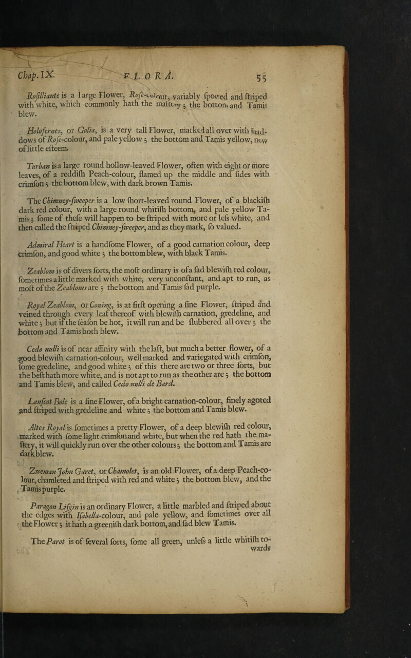 RofllliaKte is a 1 arge Flower, variably fpoited and ftriped with white, which commonly hath the maltciy ^ the bottom and Tamis blew. Holofer?2es.^ or Golia^ is a very tall Flower, marked all over with iS^iad- dows of Rofe-colom^ and pale yellow 5 the bottom and Tamis yellow, new of little efteem. Turban is a large round hollow-leaved Flower, often with eight or more leaves, of a reddifh Peach-colour, flamed up the middle and fides with crimfon 5 the bottom blew, with dark brown -Tamis. f The Chimney^fiveeper is a low (hort-leaved round Flower, of a blackilh dark red colour, with a large round whitifh bottom, and pale yellow Ta- mis 5 fome of theie will happen to be ftriped with more or lels white, and then called the ftriped Chimney-fweeper.^ and as they mark, fo valued. Admiral Heart is a handfome Flower, of a good carnation colour, deep crimlbn, and good white 5 the bottom blew, with black Tamis. “Zeablom is of divers forts, the moft ordinary is of a fad blewifti red colour, fometimes a little marked with white, very unconftant, and apt to run, as moft of the Zeabloms 5 the bottom and Tamis'fad purple. Royal Zeablom.^ or Coning., is at firft opening a fine Flower, ftriped and veined through every leaf thereof with blewifti carnation, gredeline, and white ^ but if the leafon be hot, it will run and be flubbered all over 3 the bottom and Tamis both blew. Cedo nuUi is of near affinity with thelaft, but much a better flower, of a goodblewifh carnation-colour, well marked and variegated with crimfon, fome gredeline, and good white 3 of this there are two or three forts, but the beft hath more white, and is not apt to run as the other are 3 the bottom and Tamis blew, and called Cedo nnlli de Bard. Lanfcot Bole is a fine Flower, of a bright carnation-colour, finely agoted and ftriped with gredeline and white 3 the bottom and Tamis blew. Altes Royal is fometimes a pretty Flower, of a deep blewifti red colour, marked with fome light crimfon and white, but when the red hath the ma- ftery, it will quickly run over the other colours 3 the bottom and Tamis, are dark blew. Zwemanjohn Garet., oxChamolet., is an old Flower, of a deep Peach-co¬ lour, chamleted and ftriped with red and white 3 the bottom blew, and the pTamis purple. Paragon Lijgin is an ordinary Flower, a little marbled and ftriped about the edges with Ifabel/a-colour., and pale yellow, and fometimes over all ' the Flower 3 it hath a greenilh dark bottom, and fad blew Tamis. TheParot is of feveral forts, fome all green, unlefsa little whitifh to¬ wards