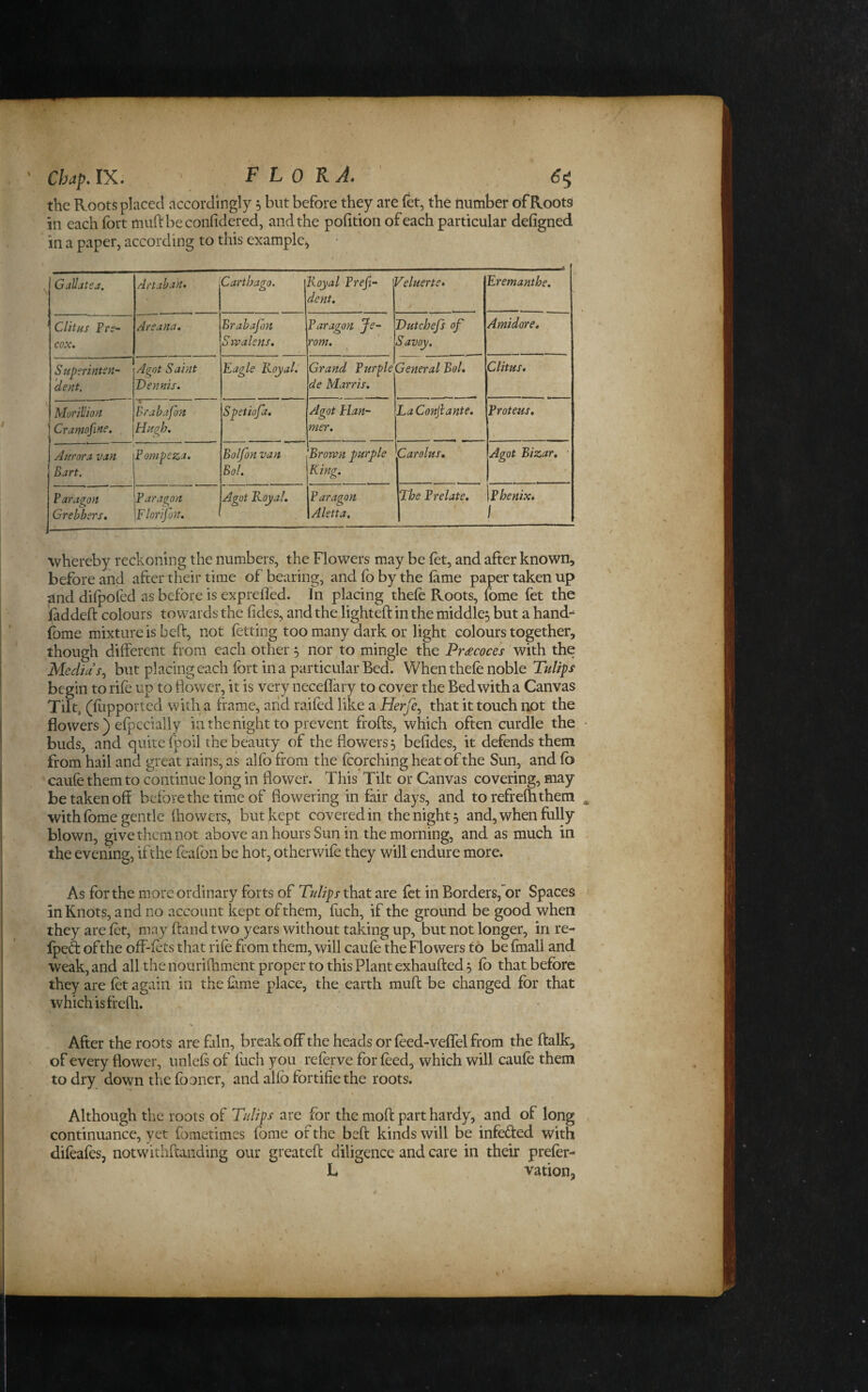 ChapAyi. ^ FLORA* 6^ the Roots placed accordingly 5 but before they are (et, the number of Roots in each fort muftbeconfidered, and the pofition of each particular defigned in a paper, according to this example^ Gallatea. Artabak* Carthago. Koyal Freji-- dent. '^eluerte* Eremanthe. C lit us Pri*- cox, • Areana. . Brabafon Sivalens, Far agon Je- rom. Dutchefs of Savoy. Amidore. S upmntsn- dent. Agnt Saint Dennis. Eagle Koyal.' Grand Purple de Marris. General Bol, Clitus, Morillion Cramofine. “1- Brabafon Hugh. Spetiofa, Agot tlan- mer. LaConjiante. Proteus. m •! Aurora van Bart, Fompeza. Bolfon van Bol. Brown purple King. Carolus, Agot Bizar, Paragon Grebbers, Far agon F lor/fon. ' Agot Koyal, Paragon Aletta, The Prelate, f Fhenix, 1 whereby reckoning the numbers, the Flowers may be fot, and after known, before and after their time of bearing, and fo by the lame paper taken up ^nd diipofed as before is exprefled. In placing thefo Roots, fome fet the laddeft colours towards the fides, and the lighted: in the middle, but a hand-^ fome mixture is b eft, not fotting too many dark or light colours together, though different from each others nor,to mingle the Pr£coce's with the Media but placing each fort in a particular Bed. When thefe noble Tulips begin to rife up to Bower, it is very neceffary to coyer the Bed with a Canvas Tilt, (fopported with a frame, arid raifed like a Herfe^ that it touch not the flowers ) efpccially in the night to prevent frofts, which often curdle the buds, and quite fpoil the beauty of the flowers 5 befides, it defends them from hail and great rains, as alfo from the fcqrching heat of the Sun, and fo ‘ caufe them to continue long in flower. This Tilt or Canvas covering, may be taken off before the time of flowering in fair days, and to reftelh them with fome gentle ftiowers, but kept covered in the night 5 and, when fully blown, give them not above an hours Sun in the morning, and as much in the evening, ifthe feafon be hot, otherwife they will endure more. As for the more ordinary forts of Tulips that are fet in Borders,or Spaces in Knots, and no account kept of them, fiich, if the ground be good when they are fet, may ftand two years without taking up, but not longer, in re- Ipeft ofthe off-fets that rife from them, will caufe the Flowers to be fmall and weak, and all the nourifhment proper to this Plant exhaufted, fo that before they are fet again in the feme place, the earth muft be changed for that which is frcfti. % After the roots are fain, break off the heads or feed-veffel from the ftalk, of every flower, unleft of fuch you referve for feed, which will caufe them to dry down the fooncr, and alfo fortifiethe roots. •• I Although the roots of Tulips are for the moft part hardy, and of long continuance, yet fometimes fome of the beft kinds will be infefted with difeafesj notwithftanding our greateft diligence and care in their prefer- L vation,