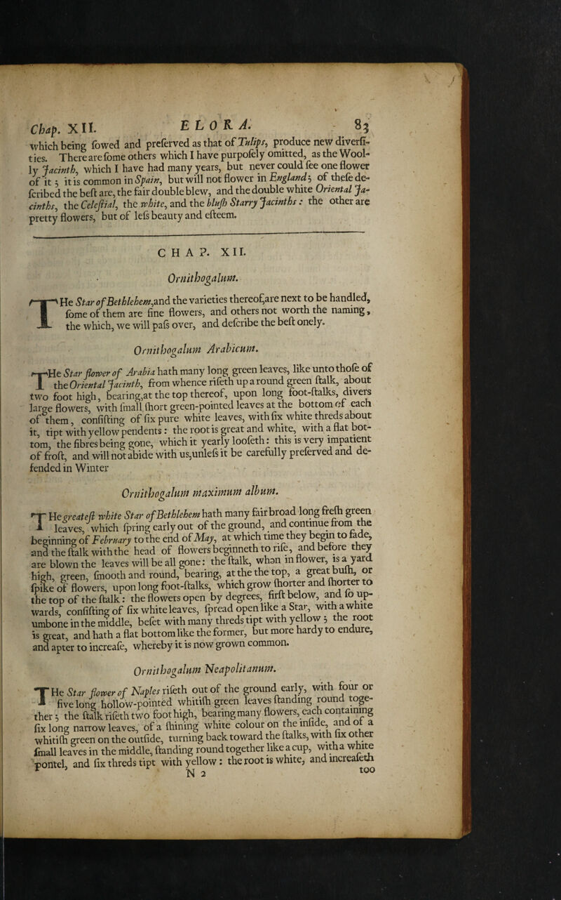 Chap. X.II. EL OK A. - 85 %vhich being fowed and preferved as that o^Tnlips.^ produce new divert- ties. There are fome others which I have purpofely omitted, as the Wool¬ ly jacinth, which I have had many years, but never could fee one flower of It 3 itis common in %/>, but will not flower in ofthefede- Icribed the bell are, the fair double blew, and the double white Oriental Ja^ cinths, the Celeftial, the white, and the blitjlo Starry jacinths : the other are pretty flowers, but of lefs beauty and efteem. T CHAP. XII. OmithogalHm. He Star ofBethleheni,^nd the varieties thereof,are next to be handled, fbme of them are fine flowers, and others not worth the naming, the which, we will pals over, and delcribe the beft onely. Ornitbogalum Arahicunt. He Star flower of Arabia hath many long green leaves, like unto thofe of i theOrk«talJacMh, from whence rifeth up a round green ftalk, about two foot high, bearing,at the top thereof, upon long foot-ftalks, divers large flowers, with fmall (hort green-pointed leaves at the bottom or eacn. of them, confiding of fix pure white leaves, with fix white threds about it, tipt with yellow pendents: the root is great and white, with a flat bot¬ tom, the fibres being gone, which it yearly loofeth: this is very impatient of froft, and will not abide withus,unlefs it be carefully preferved and de- fended in Winter - T •f Ornithogalum maximum album. T” He create (I white Star of Bethlehem hath many fair broad long ff^ green ■ 1 leaves, which fpring early out of the ground, and continue from the beginning of February to the end o^May, at which time they begin to fade, and the ftalk with the head of flowers begmneth to rife, and before they are blown the leaves will be all gone: the ftalk, whan m flower, jsa yard high, green, Cnooth and round, bearing, at the the top, a great bufti, or fpL of flowers, upon long foot-ftalks, which grow (hotter and ftiorter to the top of the ftalk: the flowers open by degrees, firft below, and fo up¬ wards, confifting of fix white leaves, Ipread open like a Star, with a white umbone in the middle, befet with many threds tipt with yellow 3 ^he root is great, and hath a flat bottom like the former, but more hardy to endure, and apter to increafe, whereby it is now grown common. Ornithogalum Neapolitanum. T tie Star flower of Napier n&th out of the ground early, with four or ■ five lone hollow-pointed whitifh green leaves (landing round toge¬ ther^ the ftSk rifeth two foot high, bearing many flowers, each containing fix long narrow leaves, of a (hining white colour on ^ whiti(h green on the outfide, turning back toward the ftalks, wi x fmaU leaves in the middle, (landing round together likeacup, witha white pontcL and fix threds tipt with yellow: the root is white, and increaleth ^ ’ N 2