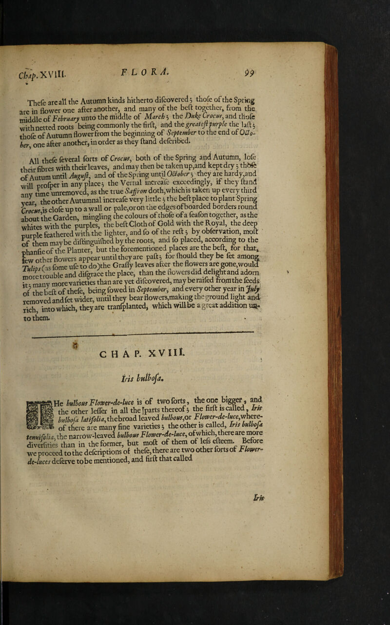 Thefe are all the Autumn kinds hitherto difcovered, thofe of the Sprkig are in flower one after another, and many of the bed: together, from the middle oi February unto the middle of Murch 5 the Duke Crocuf^ and thofe with netted roots being commonly the firft, and the greatejipurple the Uft ^ thofe of Autumn flower from the beginning of September to the end ot OUo- her one after another, in order as they ftand deferibed. . s All thefe feveral forts of Crocut, both of the Spring and Autufnn, lofe their fibres with their leaves, and may then be taken up,and kept dry; thbfe of Autuffl until Auguft, and of the Spring unril^O&irrv they arc hardy and will orofper in anyplace; the Vernal increaie exceedingly, if they ftand anv time unremoved, as the true Sapon doth, which is taken up every third vear the other Autumnal increafe very little; the beft place to plant Spring hoclf is clofe up to a wall or pale,or on the edges ofboarded borders round about the Garden, mingling the cdours of thofe of a feafon together, as the whites with the purples, thebeftClothof Gold with the Royal, the deep purple feathered witluhe lighter, andfo of the reft; by obfervation, moft ' of them maybe diftinguifhed by the roots, and fo placed, according to the ohanfieof the Planter, but the forementioned places are the beft, for that, , few other flowers appear until they are paft; for ftiould they be fet among Sf as feme ufe to do)the Grafly leaves after the flowers are gone woull more trouble and difgrace the place, than the flowers did delight and adorn it • manv morevarieties than ate yet difcoveted, may beraifed fromthe feeds of the beft of thefe, being fowed in Sepumber^, and every other year in j&rfjr removed andfet wider, until they bear flowers,making the ground light and; rkh, into which, they are tranfplanted, which will be a great addition wt., to them. CHAP. XV lit tfis hnitofa. tHe bulhom Flomr*de4uce is of two forts, Aeone bigger, \ the other leffer in all thefparts thereof 3 the firft is called, mi bulbofa tor^//4,thebroad leaved bulbousyx Flomr-de4uce,where- of there are many fine varieties 5 the other is called, Iru bulbofa. Unui folia Ahe narrOw-leaved bulbous Flower-de-luce^ o^whlch,^ereAV^OYe diverfities than in the former, but moft of them of lefsefteem. Before we proceed to the defcriptions of thefe, there are two other forts of Flomr^ de-luces deferve to be mentioned, and firft that called t Lrk \