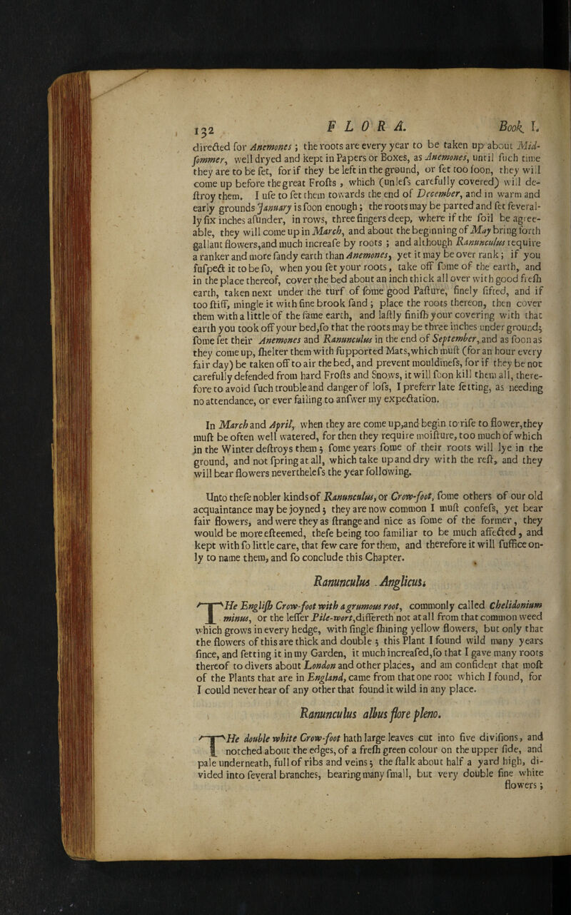 1^2 F L 0 yR A. Book, f- 6\r€d.td [or Anemones ; the roots are every year to be taken up about Mid- fommery well dryed and kept in Papers or Boxes, as Anemones] until fuch time they are to be fet, for if they be left in the ground, or fet too foon, they will come up before the great Frofts , which (unlefs carefully covered) will de- ftroy them* I ufe to fet them towards the end of December,, and in warm and early grounds Januarji is foon enough; the roots may be parted and fet feveral* ly fix inches afunder, in rows, three fingers deep, where if the foil be agree¬ able, they will come up in and about the beginning of bring forth gallant flowers,and much increafe by roots ; and although Ranunculus require a ranker and more Tandy earth than Anemones^ yet it may be over rank; if you fuTped it to be To, when you fet your roots, take off fome of the earth, and in the place thereof, cover the bed about an inch thick all over with good fi efh earth, taken next under the turf of fome good Failure, finely fifted, and if too ftiff, mingle it with fine brook fand ; place the roots thereon, then cover them with a little of the fame earth, and laflly finifb your covering with that earth you took off your bed,fo that the roots may be three inches under ground^ fome fet their Anemones and Ranunculus in the end of SeptemberydiX\6 as foon as they come up, flicker them with fupported Mats,which muft (for an hour every fair day) be taken off to air the bed, and prevent mouldinefs, for if they be not carefully defended from hard Frofts and Sno.ws, it will foon kill them all, there¬ fore to avoid fuch trouble and danger of lofs, Ipreferr late fetting, as needing no attendance, or ever failing to anfwer my expe^atfon. In March znd Aprils when they are come upland begin to rife to flower,they inuft be often well watered, for then they require moifture, too much of which jnthe Winter deftroys them 5 fome years fome of their roots will lye in the ground, and not fpringatall, which take upanddry with the reft, and they will bear flowers neverthelefs the year following. Unto thefe nobler kinds of Ranunculus, ot Crow-foot, fome others of our old acquaintance may be joyned 5 they are now common I muft confefs, yet bear fair flowers, and were they as ftrange and nice as fome of the former, they would be moreefteemed, thefe being too familiar to be much affected, and kept with fo little care, that few care for them, and therefore it will fufficc on¬ ly to name them, and fo conclude this Chapter. Ranunculus .Anglicuu THe EngUJh Crow-foot with agrumous root,, commonly called chelidontum minus, or the lefler Pile-wort,diW^etth not at all from that common weed which grows in every hedge, with Angle Ihining yellow flowers, but only that the flowers of this are thick and double 5 this Plant I found wild many years fince, and fetting it in my Garden, it much increafed,fo that I gave many roots thereof to divers about and other places, and am confident that moft of the Plants that are in England, came from that one root which I found, for I could never hear of any other that found it wild in any place. 1 Ranunculus alhus flore pkno. THe double white Crowfoot hdiih hrgekdLves cut into five divifions, and notched about the edges, of a frefli green colour on the upper fide, and pale underneath, full of ribs and veins s the ftalk about half a yard high, di¬ vided into feveral branches, bearing many final 1, but very double fine white flowers *,