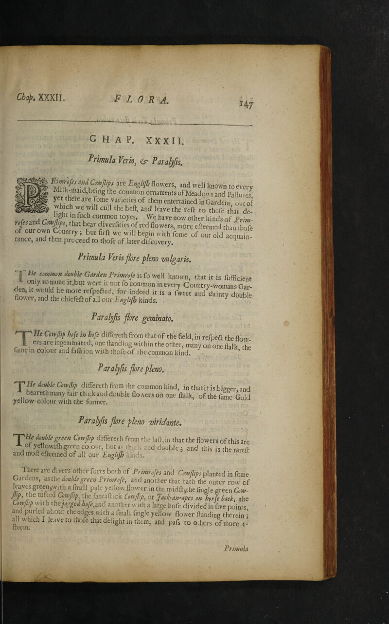 147 CHAP. X X X 11. Primula Virh^ <(s' Paralyfis, are Bnglijb flowers, and w-eli icnown to every Milktiuaid,being the common ornaments of Meadows and Paflutes ionic variecies of them enrertained in Gardens oucof P befl. and leave the reft to thofe that de- ■ light in fuch common toyes. We have now other kinds of Frim- oto^owaCm “lowers, more efteemed than thofe of our own Country; but fitft we will begin with fonie of out old acquain-. tance, and then proceed to thofe of later difcovery. acqnain / Priwuld Veris flore plena vulgaris. T«e comma dcuhle GardenPrimnJeKh'KeW known, that it is fufficient •*- only to name it,but were it not fo common in every Country-womans Gar^ den, It would be more refpeaed, for indeed it is a fwtet and dainty double flower, and the chiefeft of all our %//y^ kinds. • - ^ ‘ ^ i . '• . J ' , • Paralyfts pre geminato. '~T^tIe Cowjlip hofein hofe differethfrom that of the field,in refpefi tbeflow-' .1 ers are ingeminated, one (landing within the other, many on one ftalk the fame in colour and fafliion with thofe of the common kind. , ’ Parahfis flore pkno,' T He double Co^llip differethfrom the commonkind. in thatitisbigeer'and beareth many fair thick anddonble flowers on one ftalk, of the fame Gold yellow'colour with the former. ' , /• » Paralyfis flore pkno viriJante. , ' ^ •' . / ' ' He double green Cowpp differeth fronirfe laft.in that the flowers of this are ot yetlowifli green CO our, biitai th.ck and double ; and this istherarell and moll e.fleemed of all our Englifi kinds. Therearedivers other forts both of Prininfesznd planted in fome Oaidens, is the double green I’nmrofe, and another that hath the outer row of leaves green,w,di a fmall pale ye.low flower m the midft,the fingle green Gm- flip, the tufted Gw/ry, the faiitaftick Cotv^p, or Jack-an-apes on horfe back, the Cowpp vvith thejaggea ljofe,ind another with a large hofe divided in five points and purled about the edges w ith a fmall fingle yellow flower (landing therein I all whicn 1 leave to thofe that delight in them, and pafs to others of more e- fteem; '.w FrhmiU /